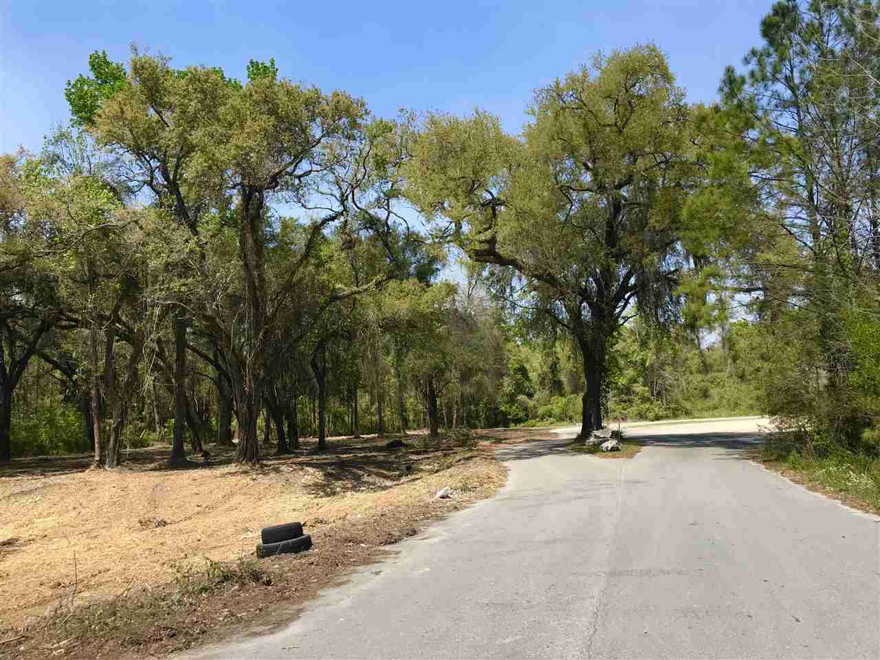 xx Bloxham Cutoff,CRAWFORDVILLE,Florida 32327,Lots and land,Bloxham Cutoff,359563