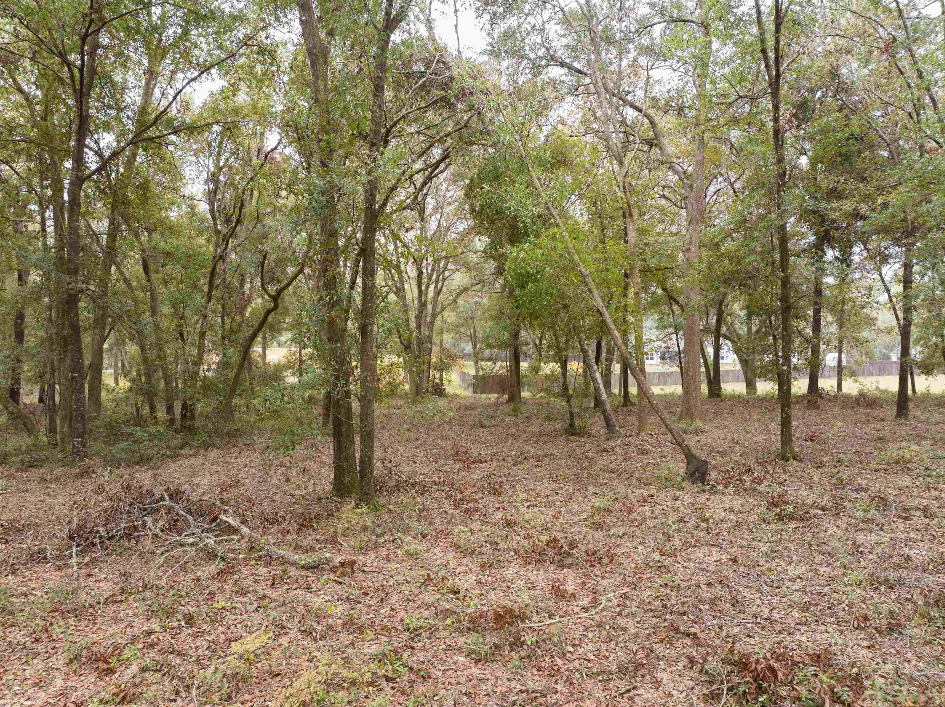 Vacant Briarwood,Pinetta (Madison County),Florida 32350,Lots and land,Briarwood,365944