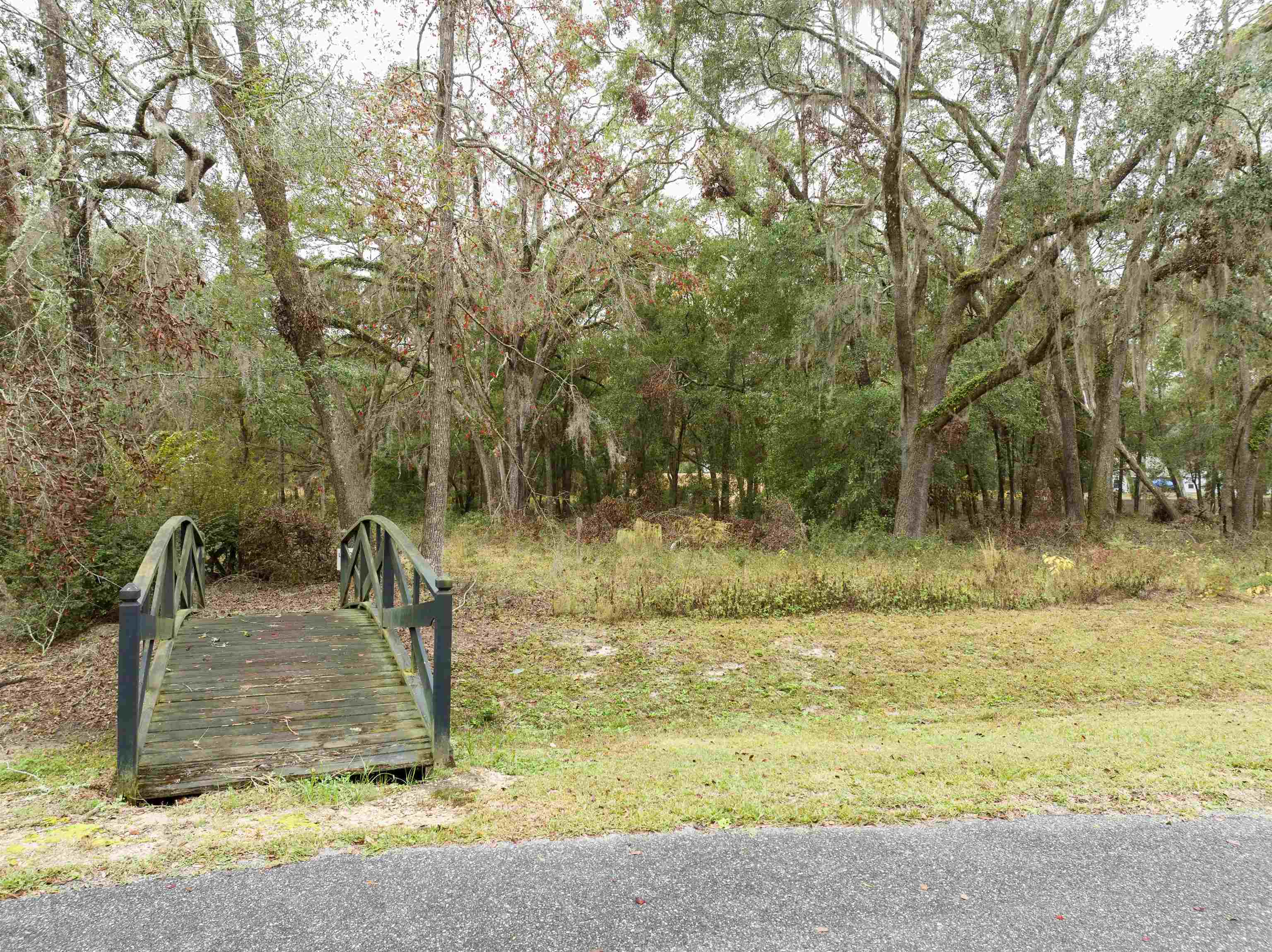 Vacant Briarwood,Pinetta (Madison County),Florida 32350,Lots and land,Briarwood,365944