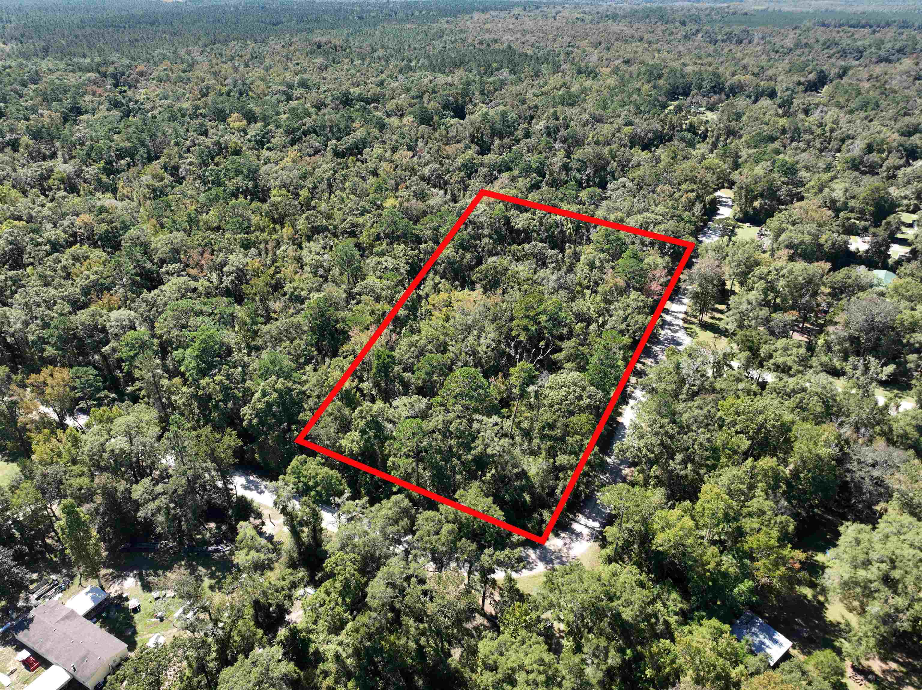 00 Palomino,CRAWFORDVILLE,Florida 32327,Lots and land,Palomino,365982