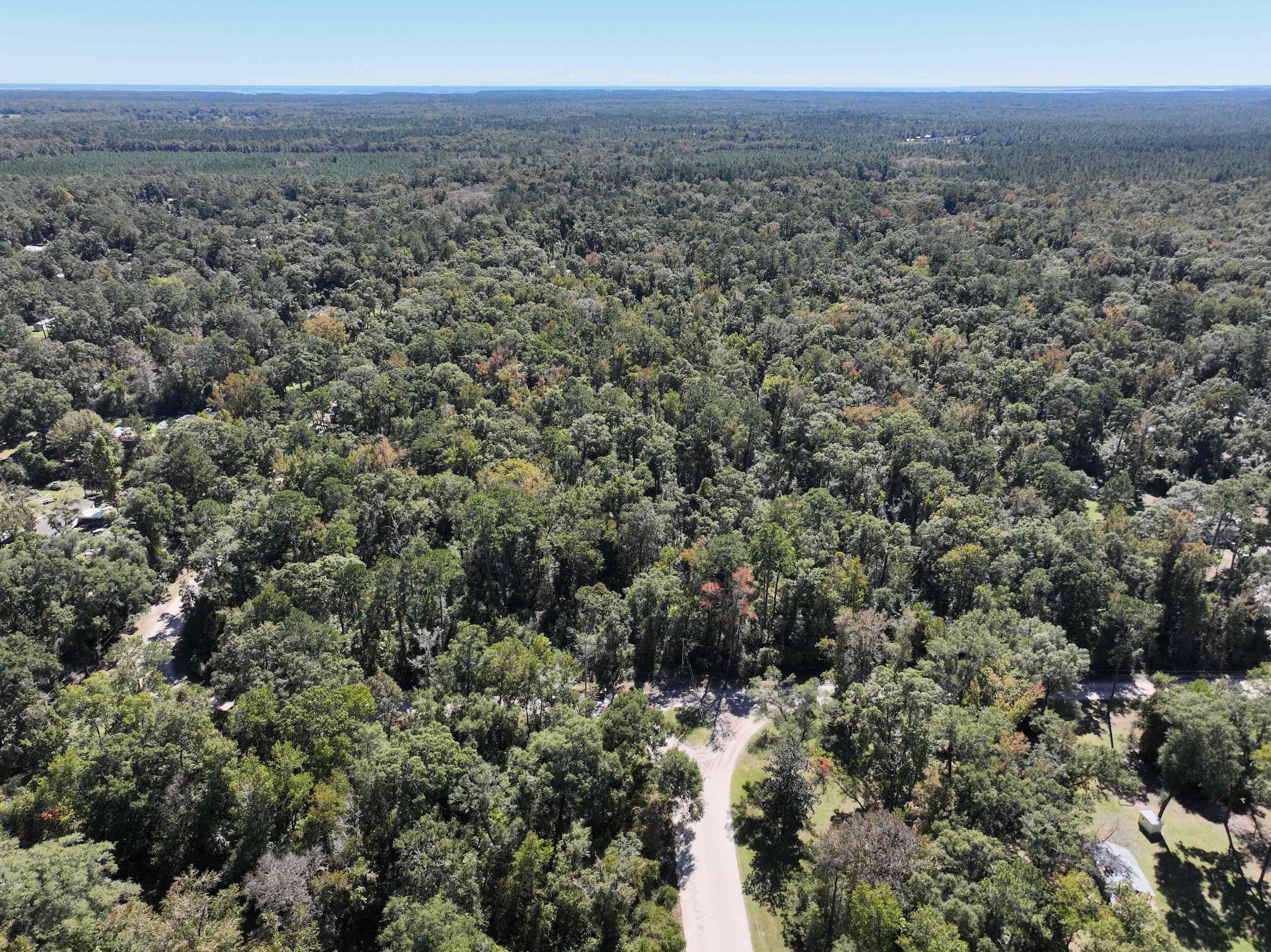 00 Palomino,CRAWFORDVILLE,Florida 32327,Lots and land,Palomino,365982