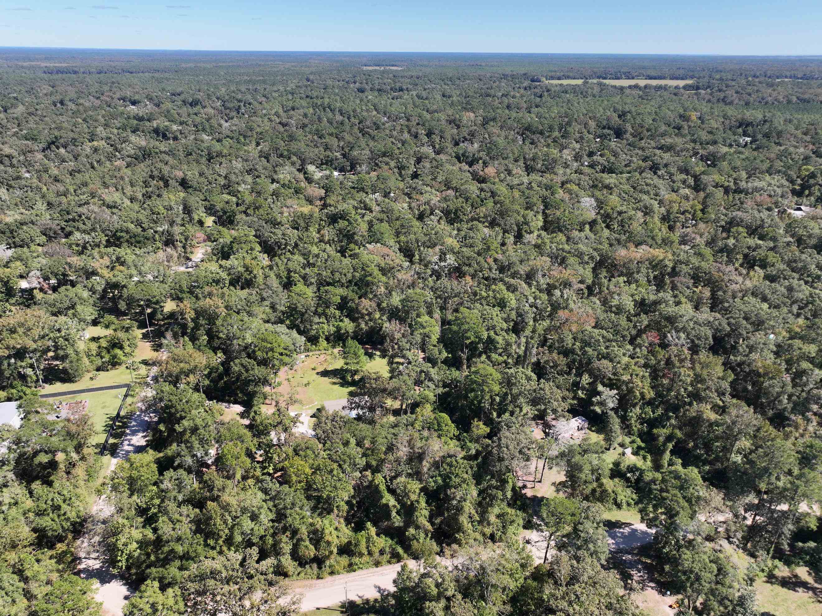 00 Palomino,CRAWFORDVILLE,Florida 32327,Lots and land,Palomino,365982