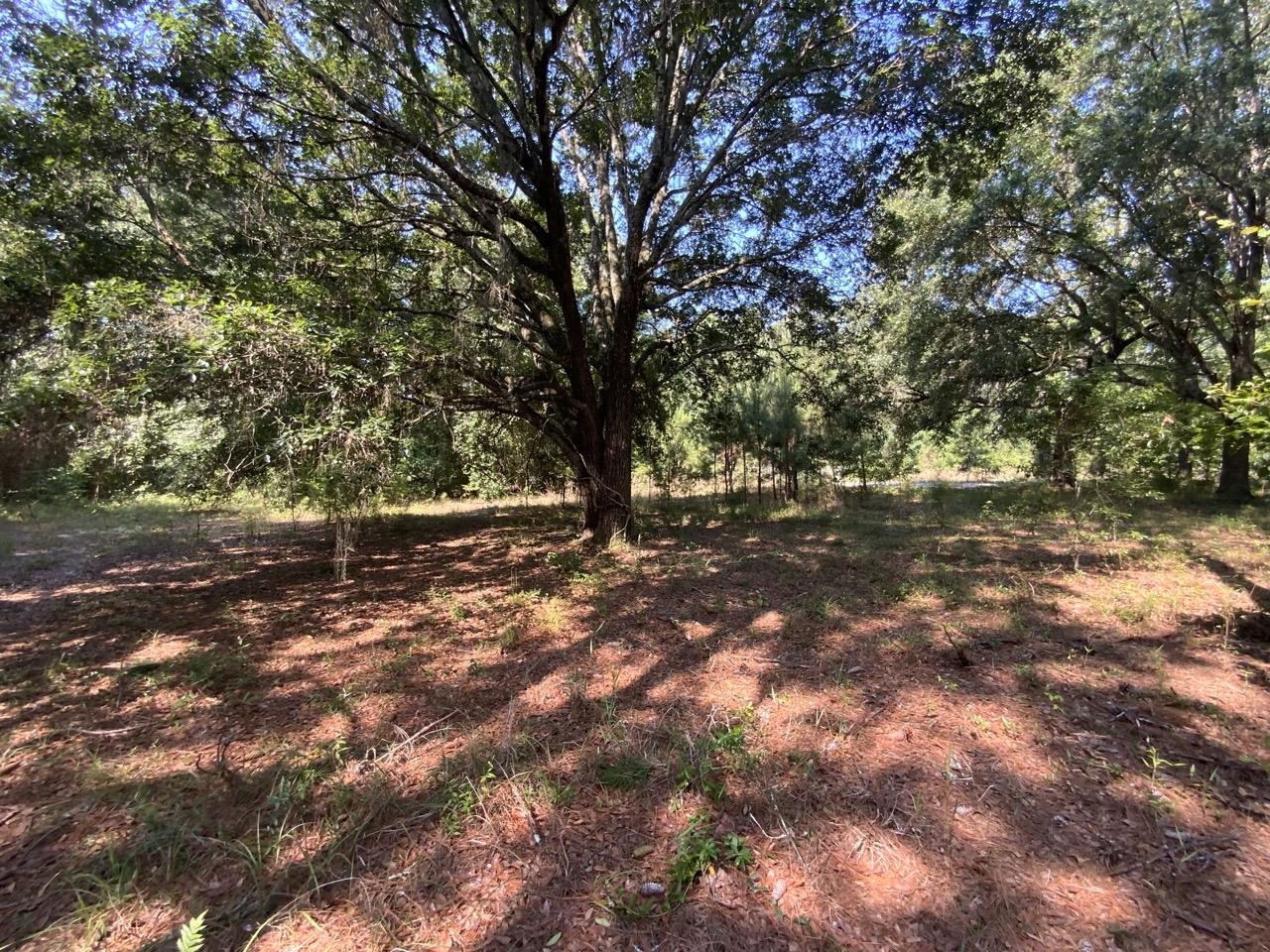 2060 Jim Clark,MADISON COUNTY,Florida 32340,Lots and land,Jim Clark,359692