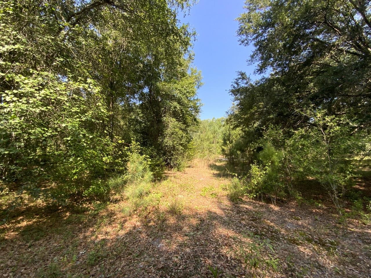 2060 Jim Clark,MADISON COUNTY,Florida 32340,Lots and land,Jim Clark,359692