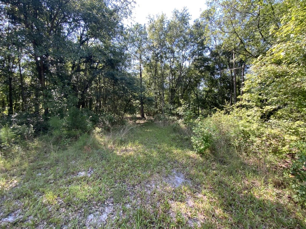 2060 Jim Clark,MADISON COUNTY,Florida 32340,Lots and land,Jim Clark,359692