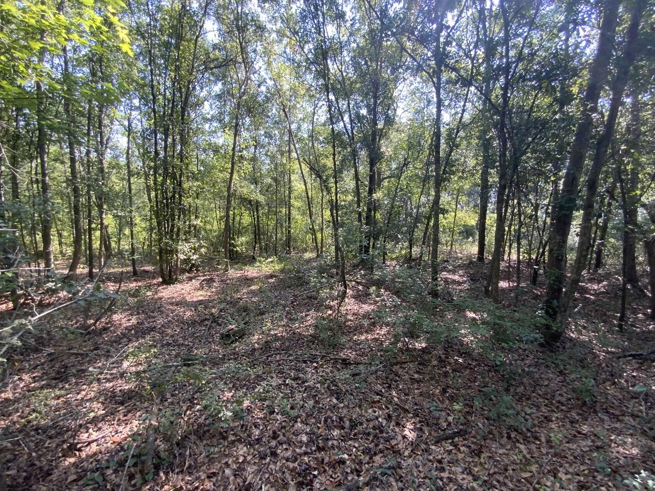 2060 Jim Clark,MADISON COUNTY,Florida 32340,Lots and land,Jim Clark,359692