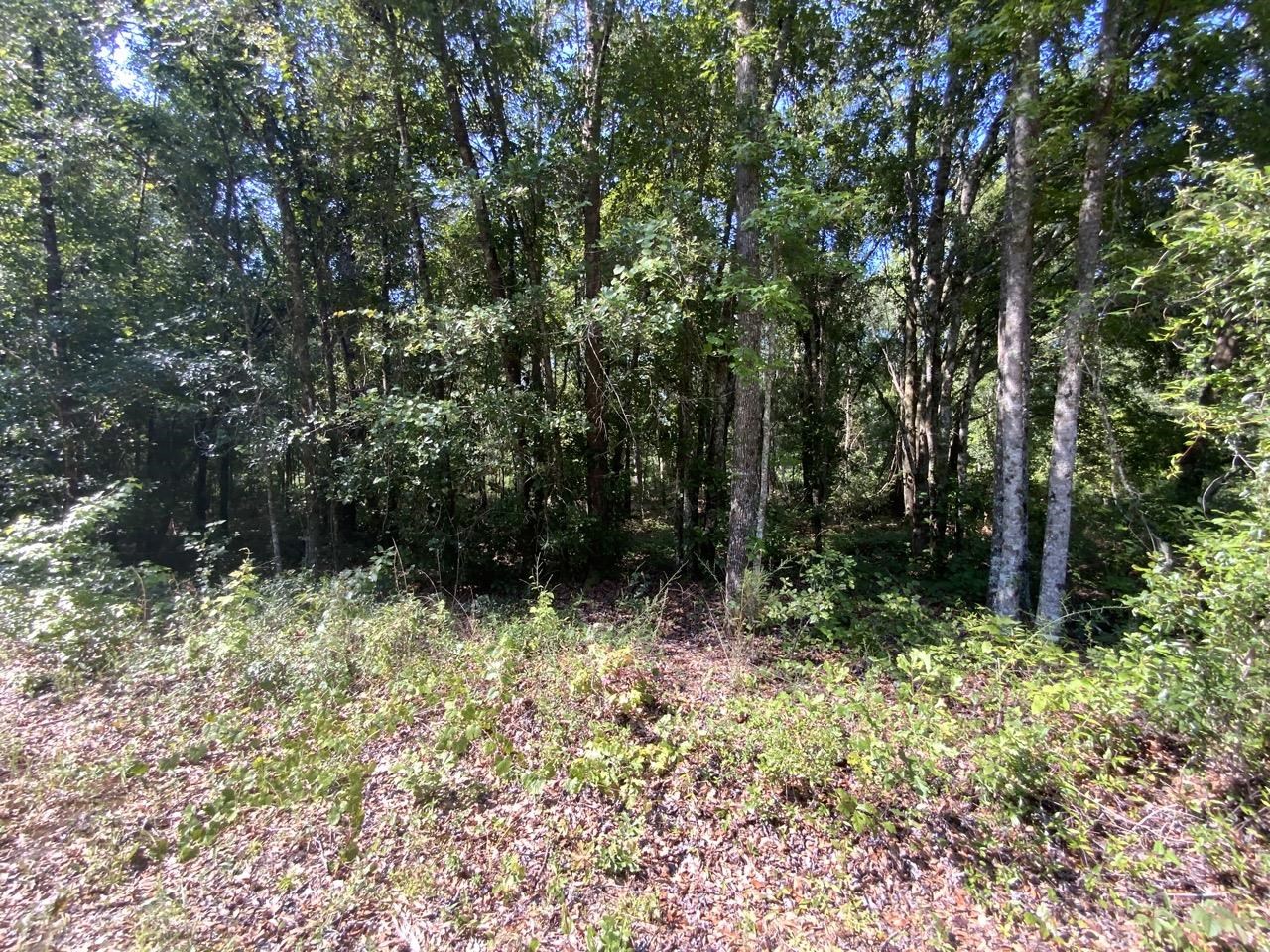 2060 Jim Clark,MADISON COUNTY,Florida 32340,Lots and land,Jim Clark,359692