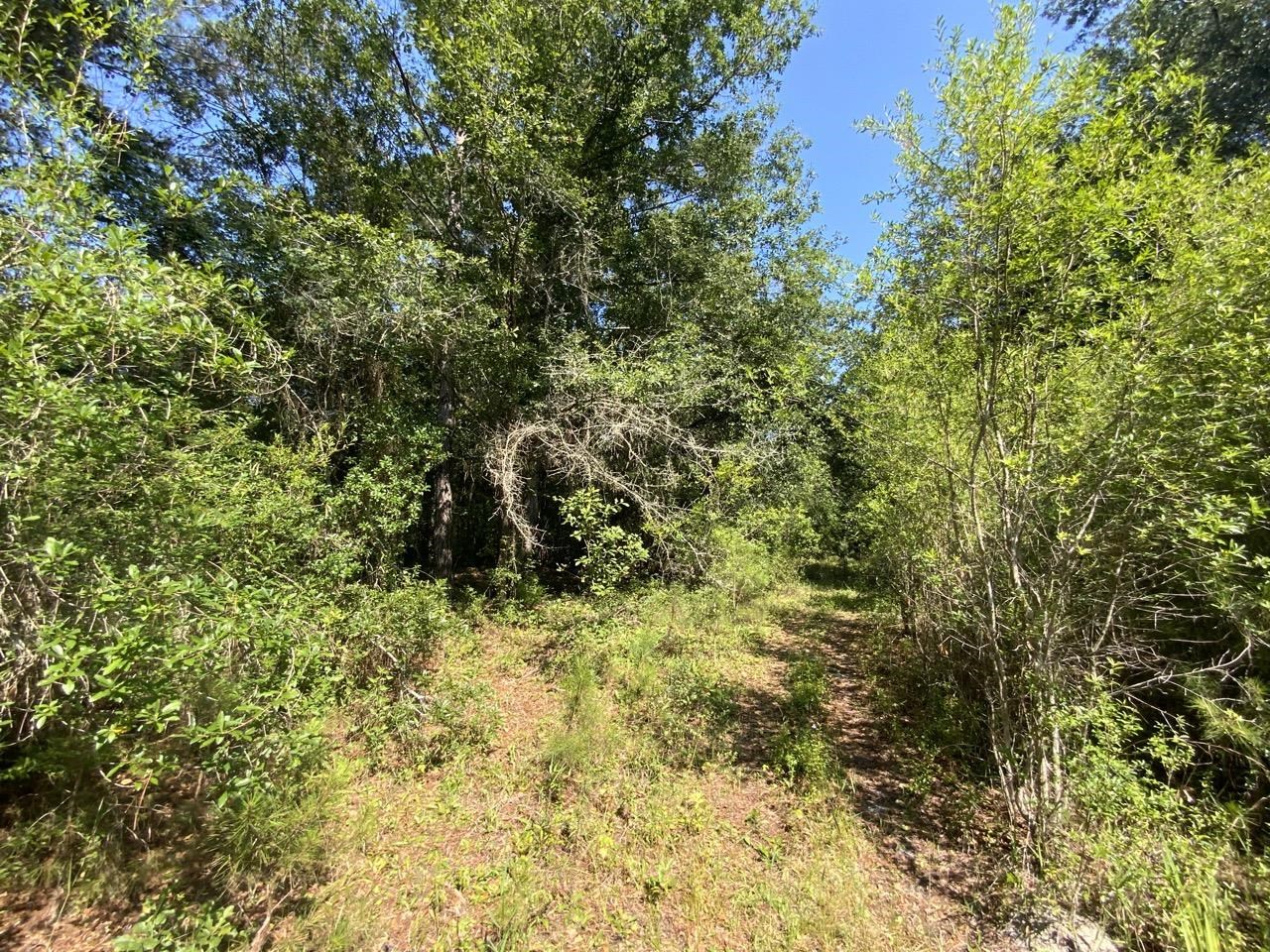 2060 Jim Clark,MADISON COUNTY,Florida 32340,Lots and land,Jim Clark,359692