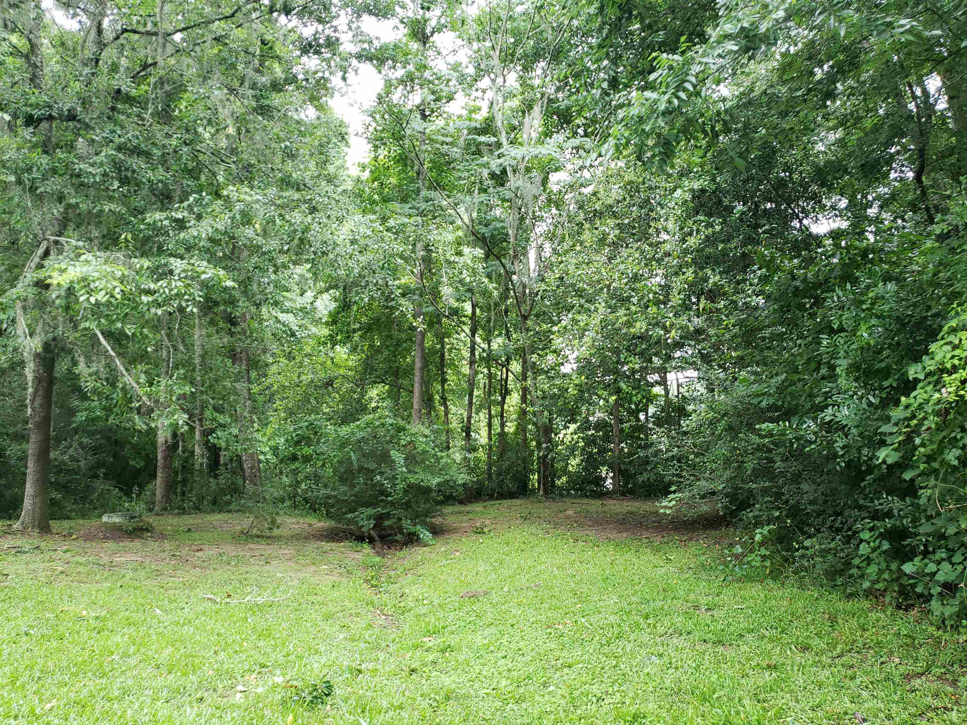 3344 Charleston,TALLAHASSEE,Florida 32309,Lots and land,Charleston,366017