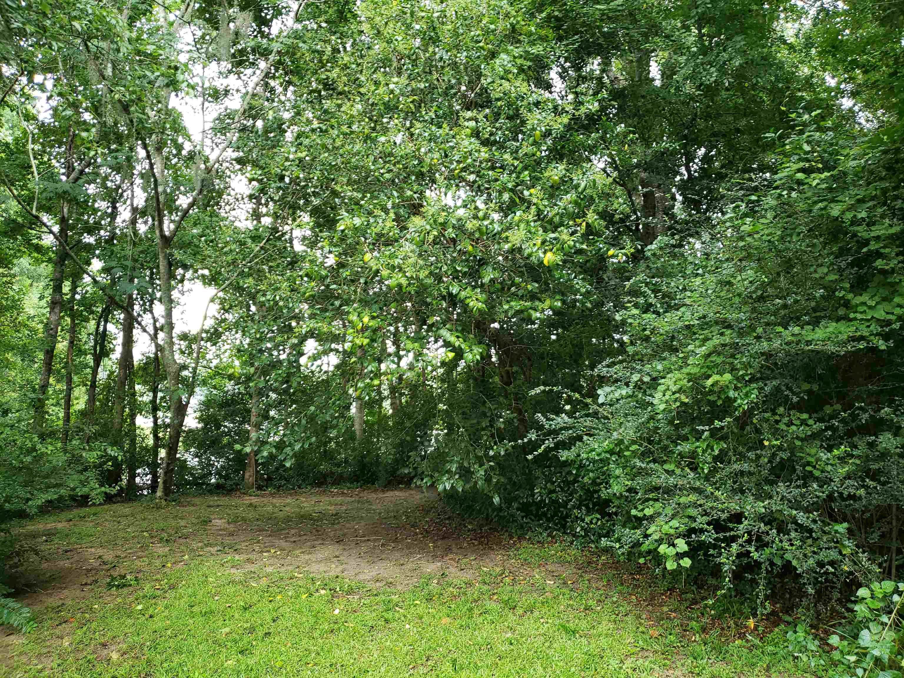 3344 Charleston,TALLAHASSEE,Florida 32309,Lots and land,Charleston,366017