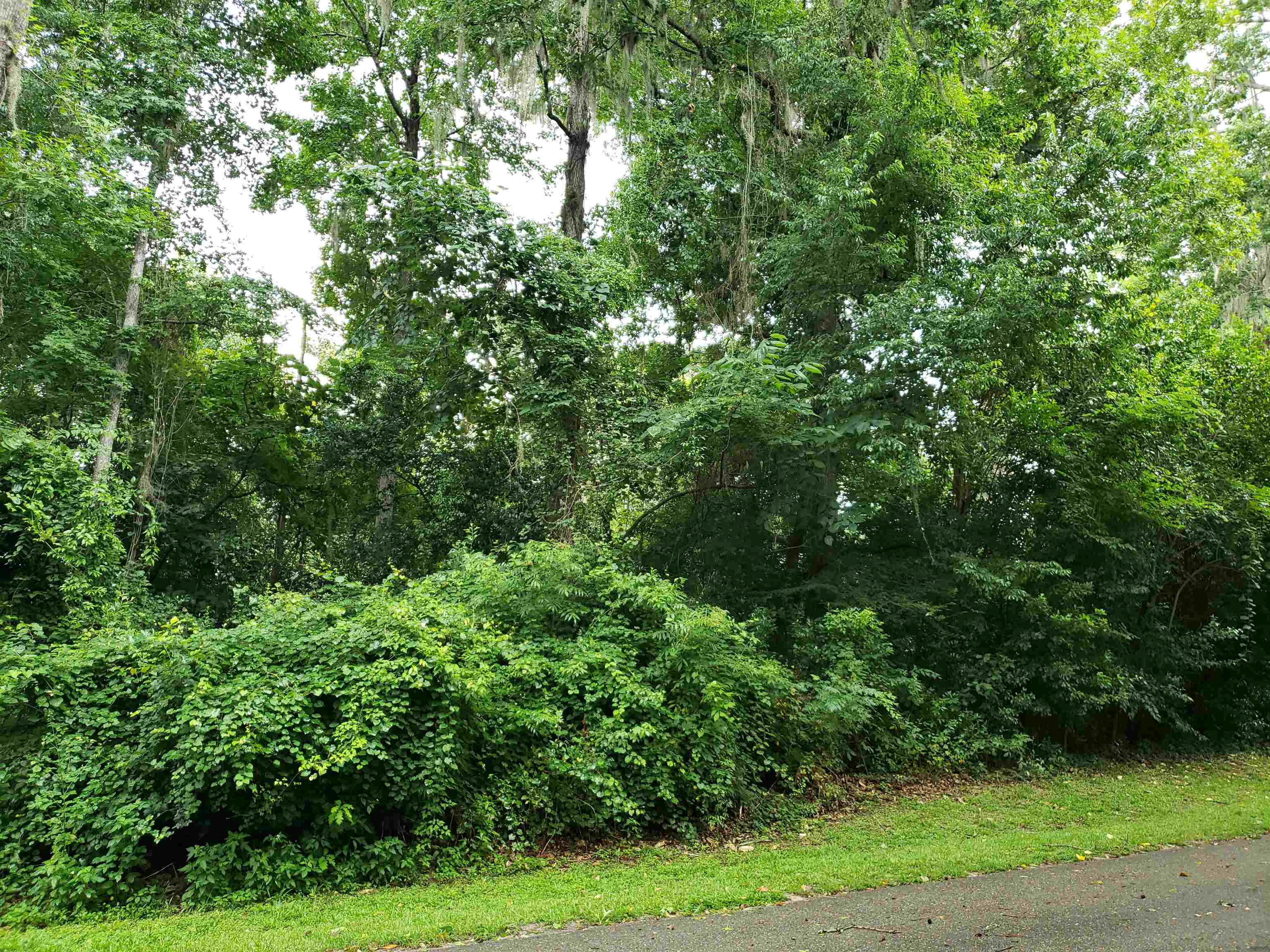 3344 Charleston,TALLAHASSEE,Florida 32309,Lots and land,Charleston,366017