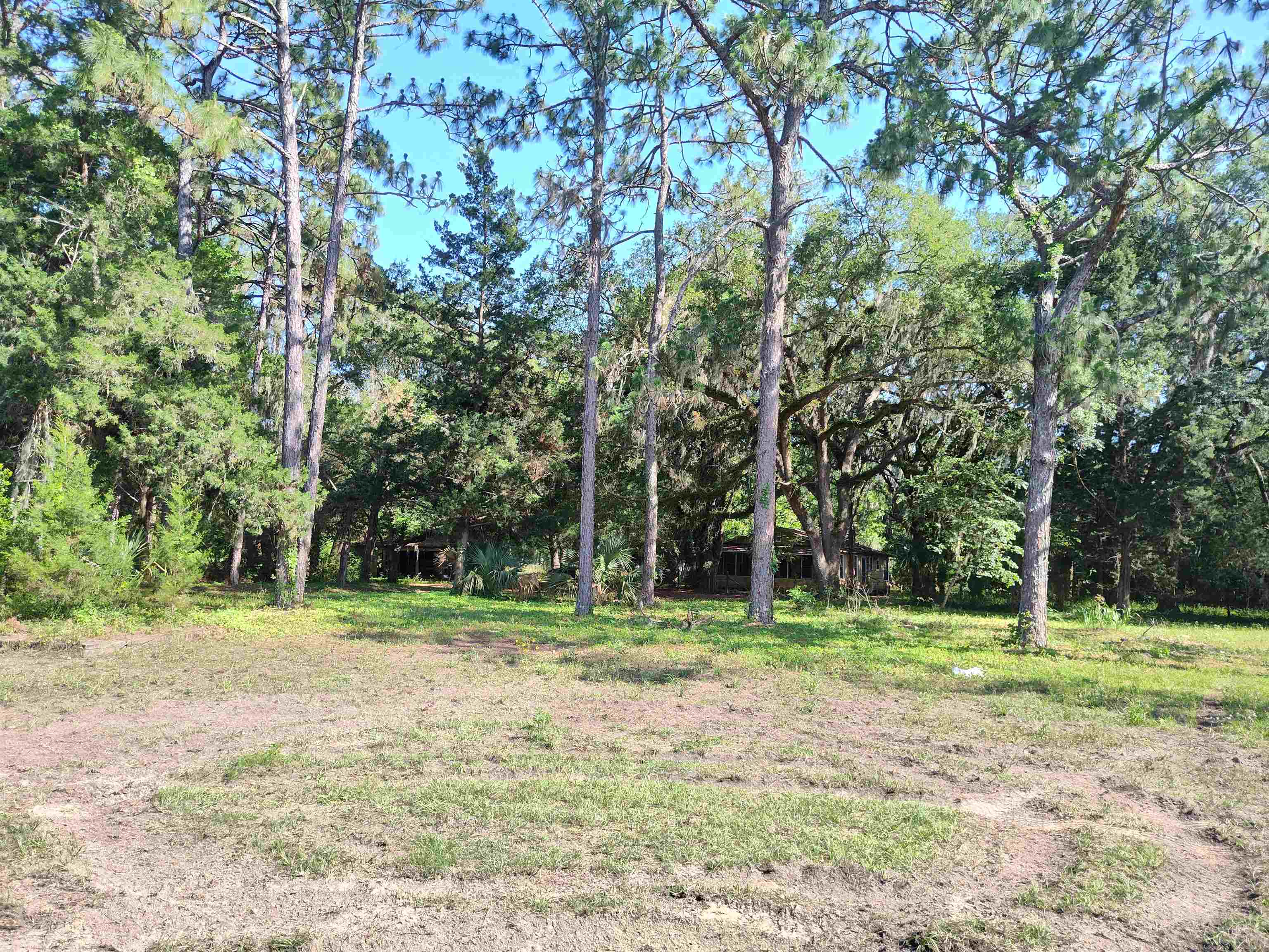 1618 Golf Course Road,PERRY,Florida 32347,3 Bedrooms Bedrooms,1 BathroomBathrooms,Detached single family,1618 Golf Course Road,358235