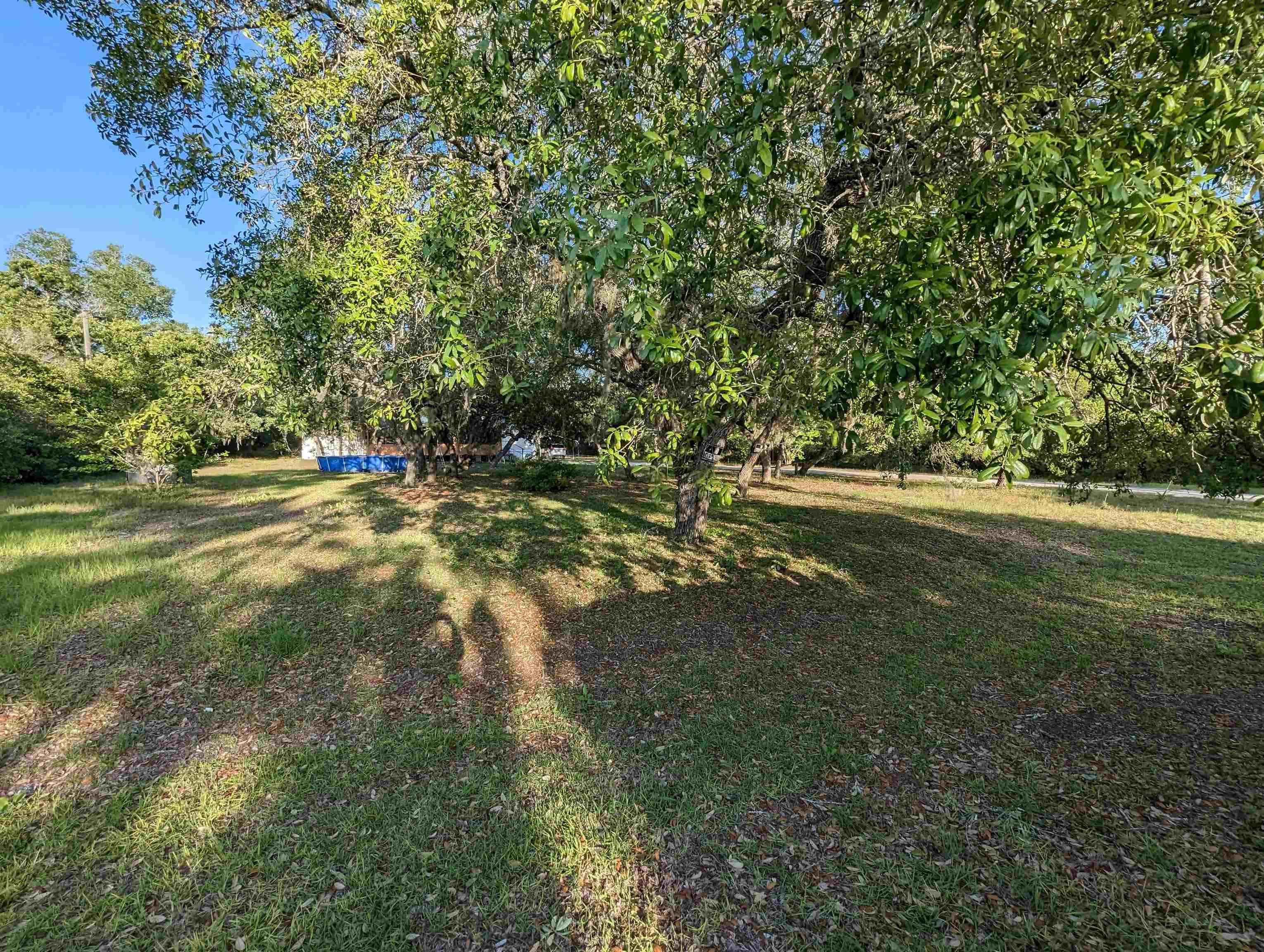 15440 FIDDLERS WAY,KEATON BEACH,Florida 32348,3 Bedrooms Bedrooms,2 BathroomsBathrooms,Manuf/mobile home,15440 FIDDLERS WAY,358258