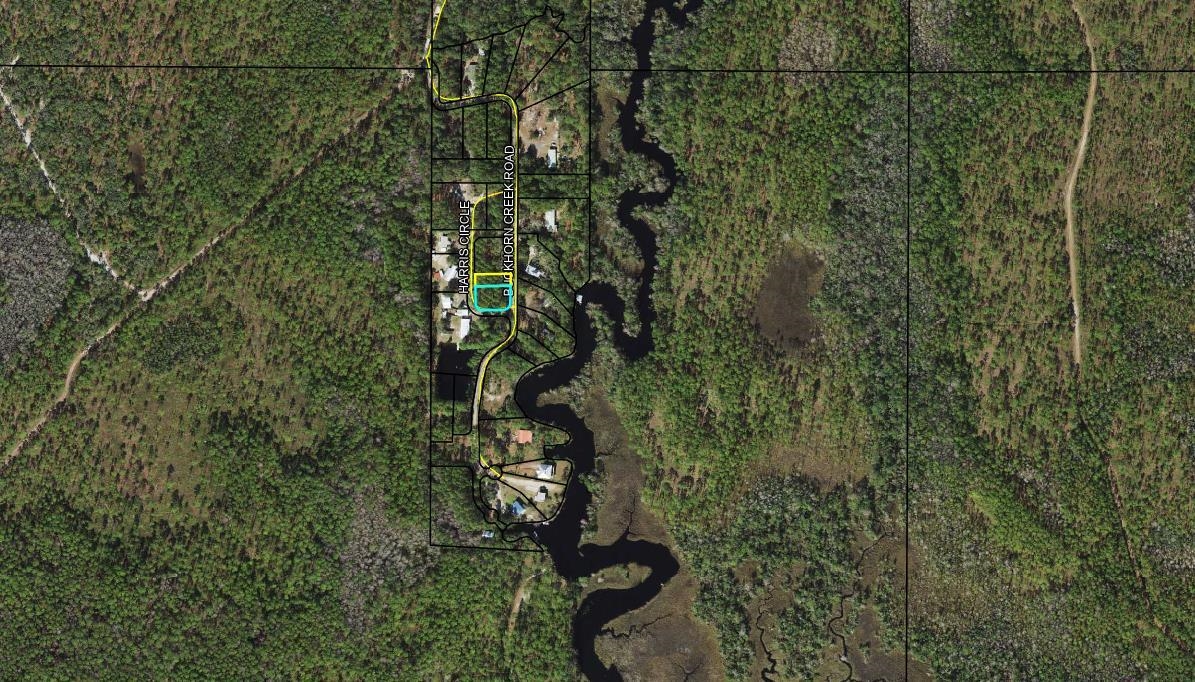 xx Buckhorn Creek,SOPCHOPPY,Florida 32358,Lots and land,Buckhorn Creek,368703