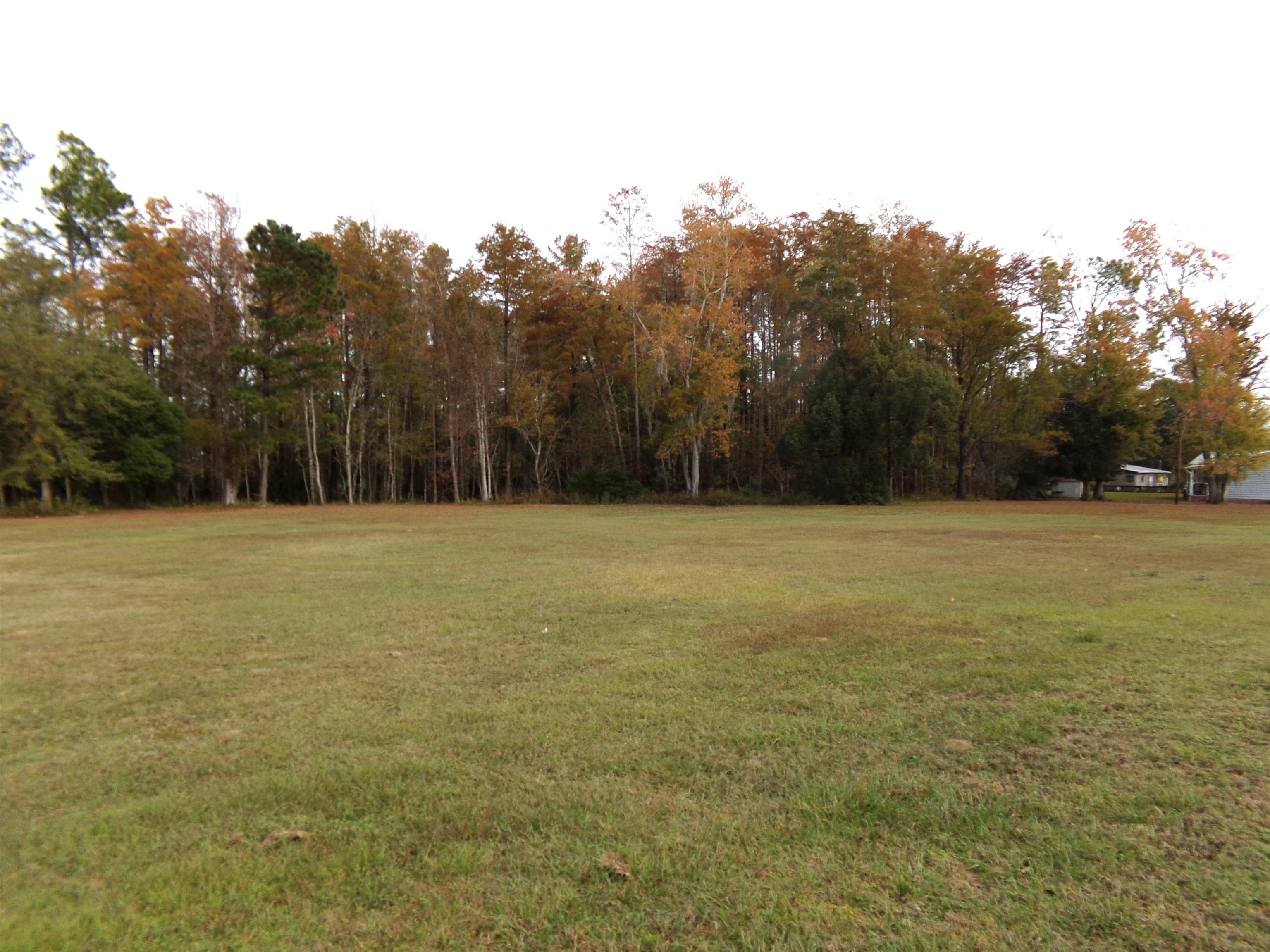 11500 State Road 20,BRISTOL,Florida 32321,Lots and land,State Road 20,366059