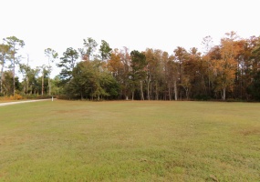 11500 State Road 20,BRISTOL,Florida 32321,Lots and land,State Road 20,366059