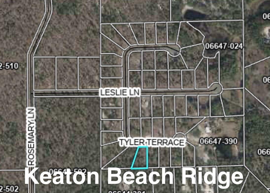 158 Tyler,KEATON BEACH,Florida 32348,Lots and land,Tyler,366080