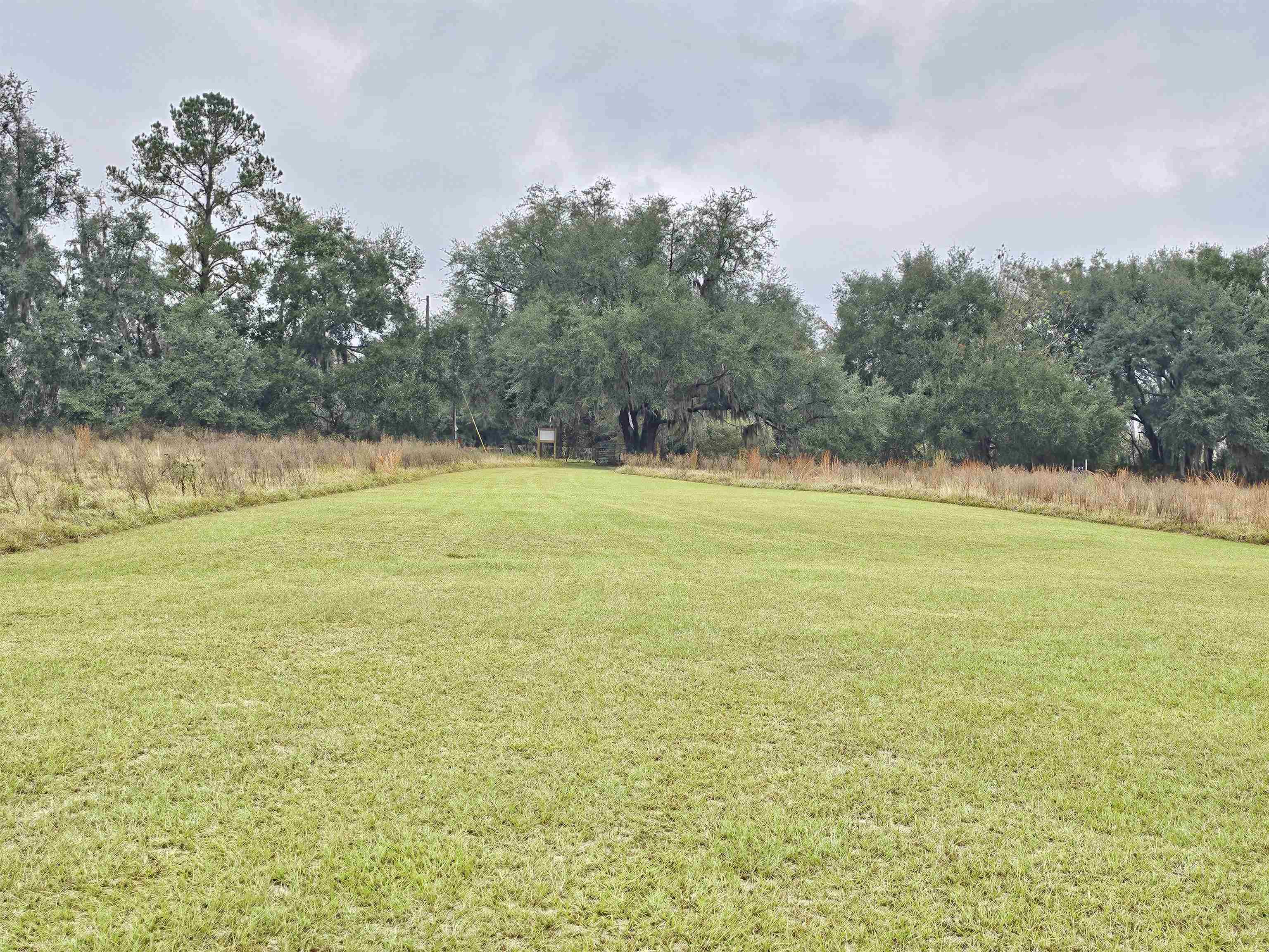 1262 Hawks,GREENVILLE,Florida 32331,Lots and land,Hawks,366082