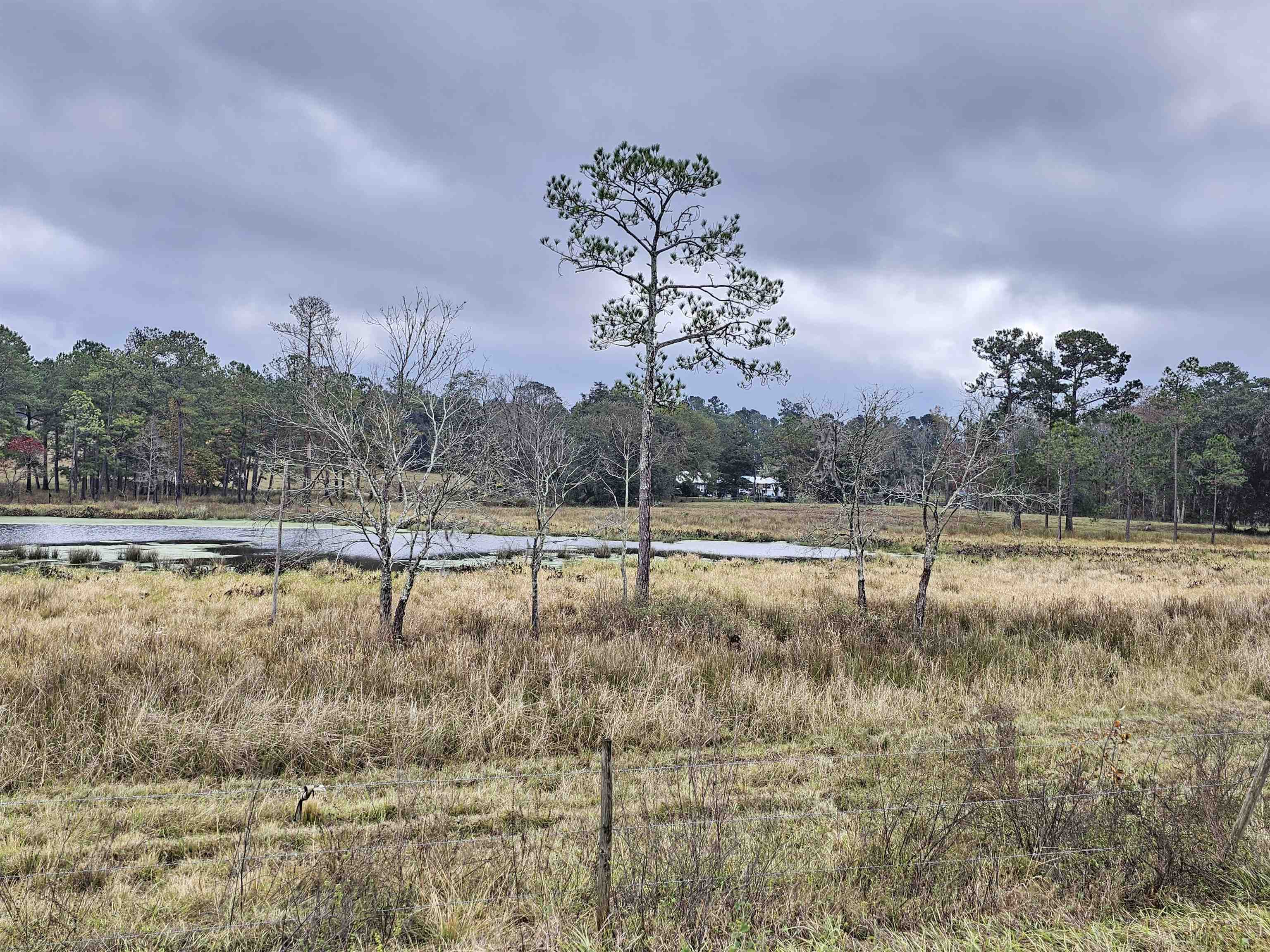 1262 Hawks,GREENVILLE,Florida 32331,Lots and land,Hawks,366082