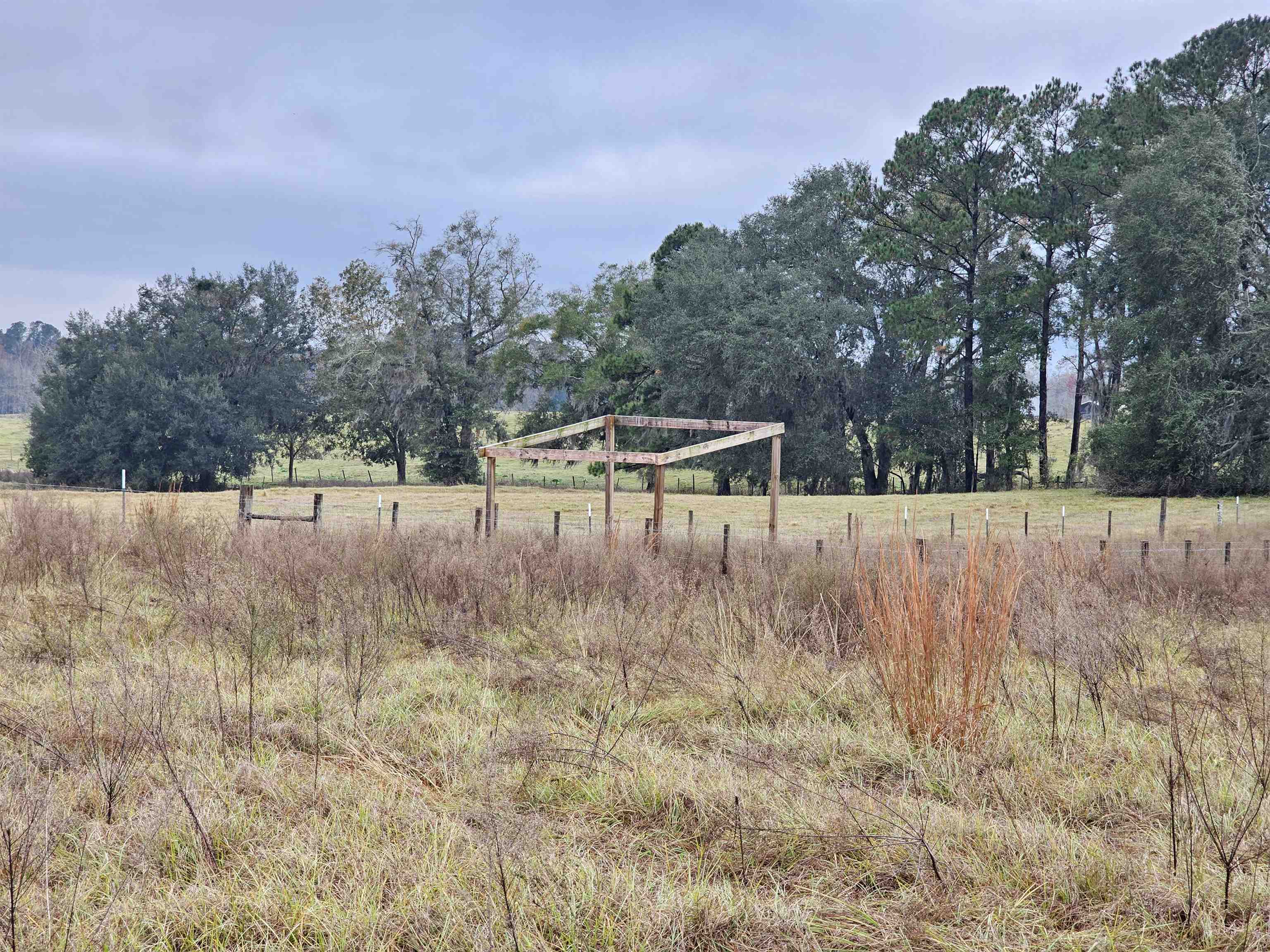 1262 Hawks,GREENVILLE,Florida 32331,Lots and land,Hawks,366082