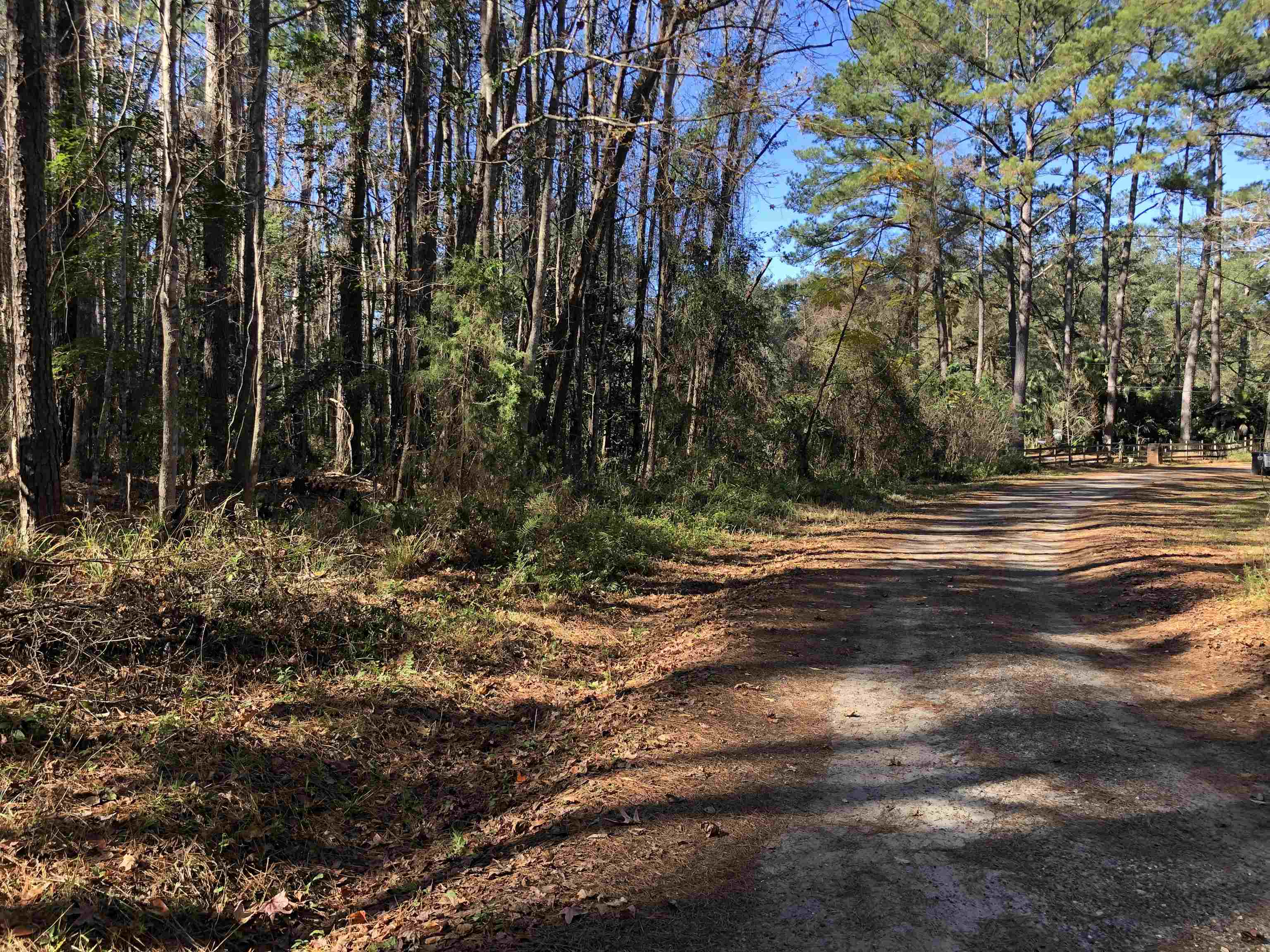 00 Buttercup Way,TALLAHASSEE,Florida 32311,Lots and land,Buttercup Way,368737