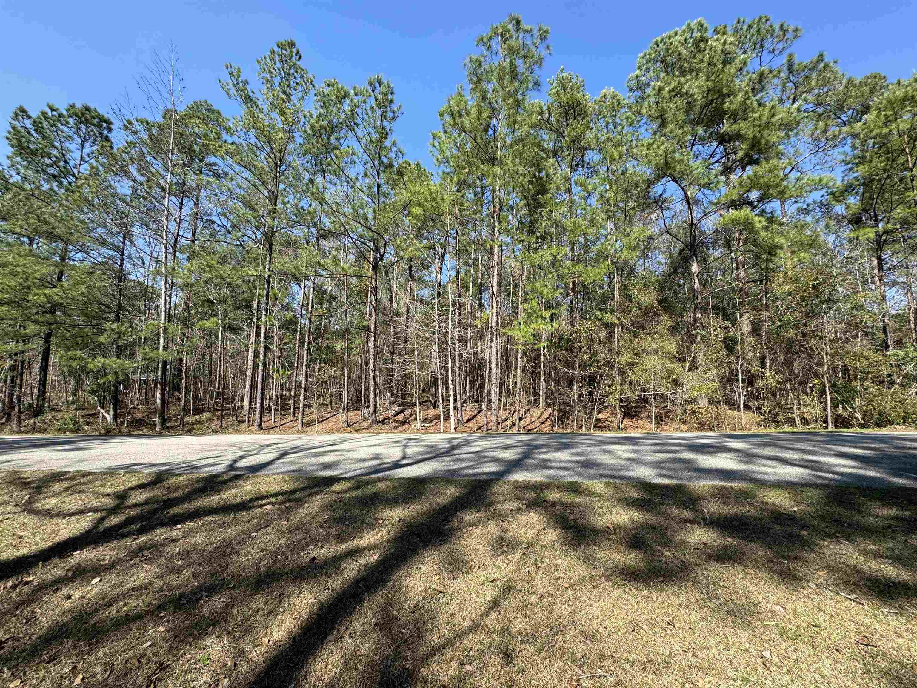 Lot 25 Starhawk,TALLAHASSEE,Florida 32309,Lots and land,Starhawk,368750