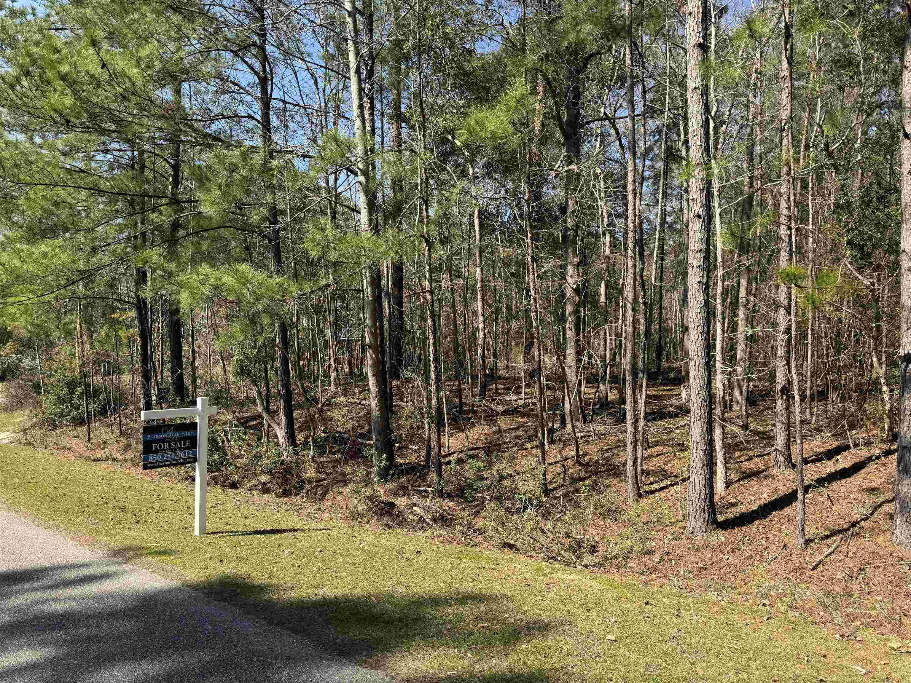 Lot 25 Starhawk,TALLAHASSEE,Florida 32309,Lots and land,Starhawk,368750