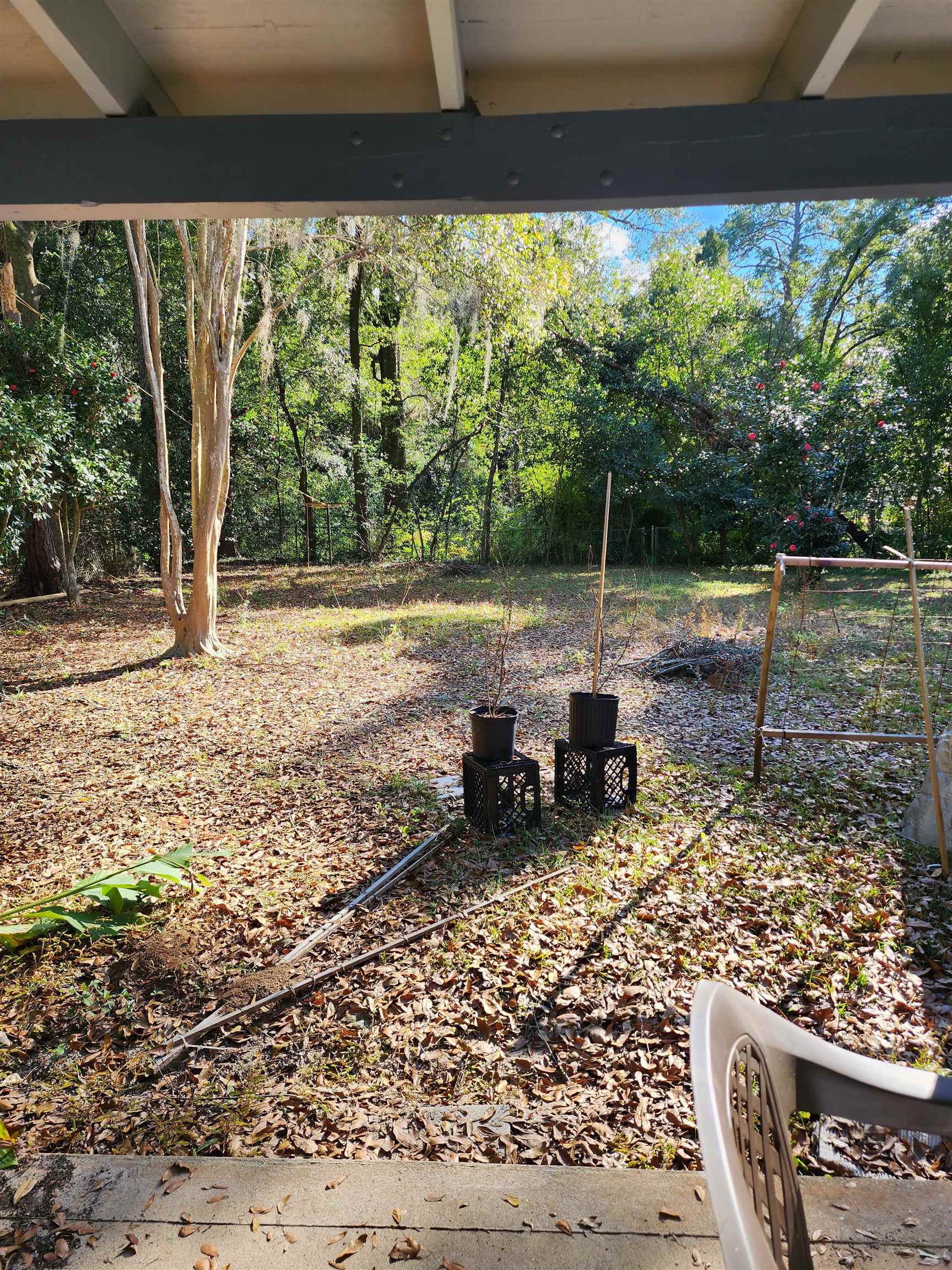 2709 Ridgeway Street,TALLAHASSEE,Florida 32310,4 Bedrooms Bedrooms,1 BathroomBathrooms,Detached single family,2709 Ridgeway Street,367076