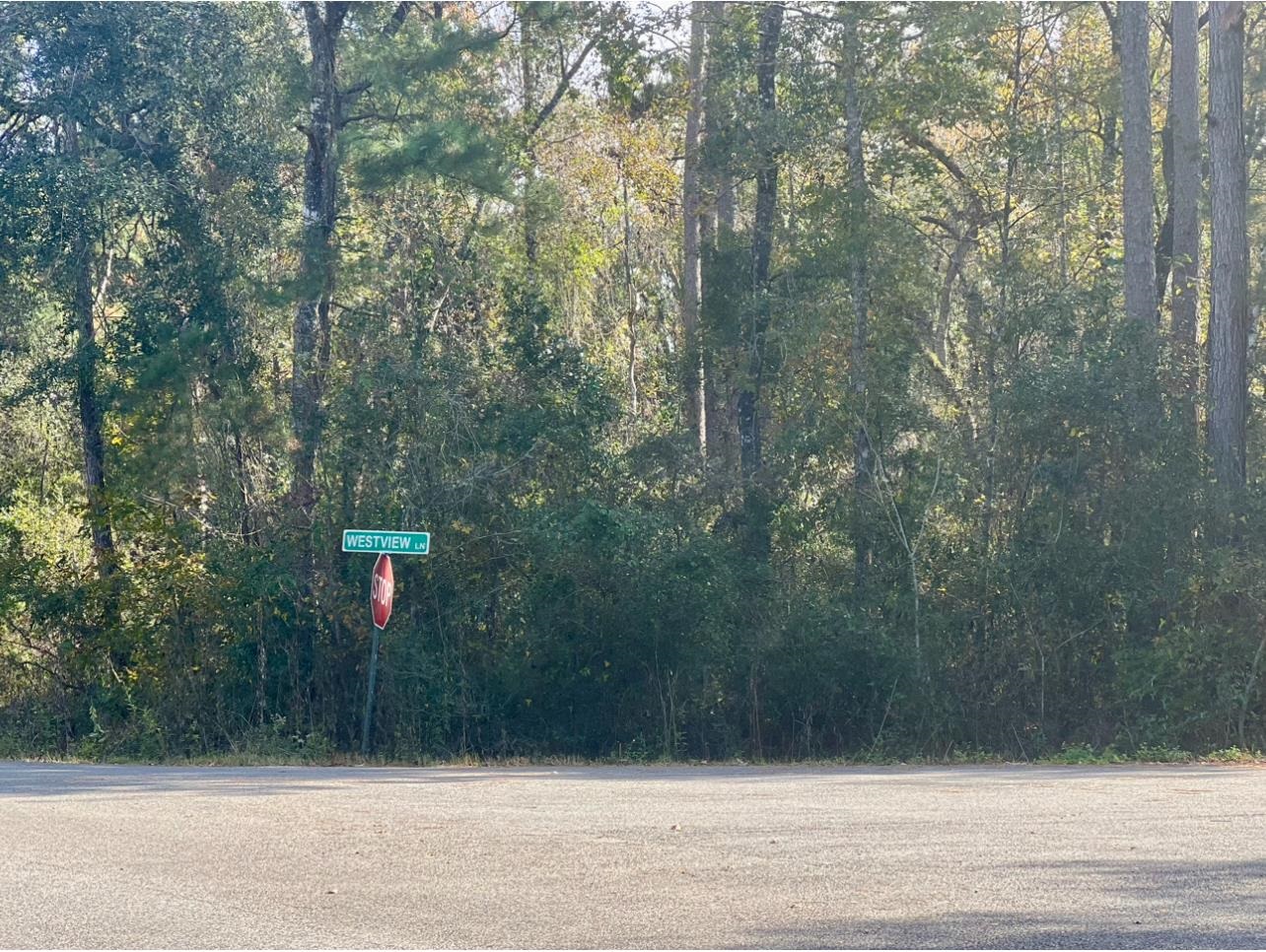 XXXX Westview,MONTICELLO,Florida 32344,Lots and land,Westview,366137