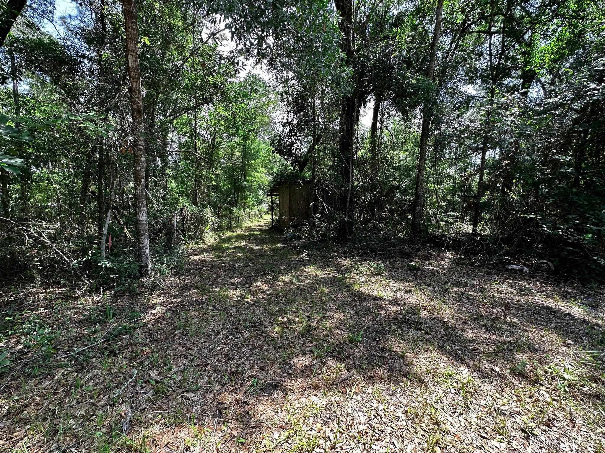 504 Roys,STEINHATCHEE,Florida 32359,Lots and land,Roys,360429