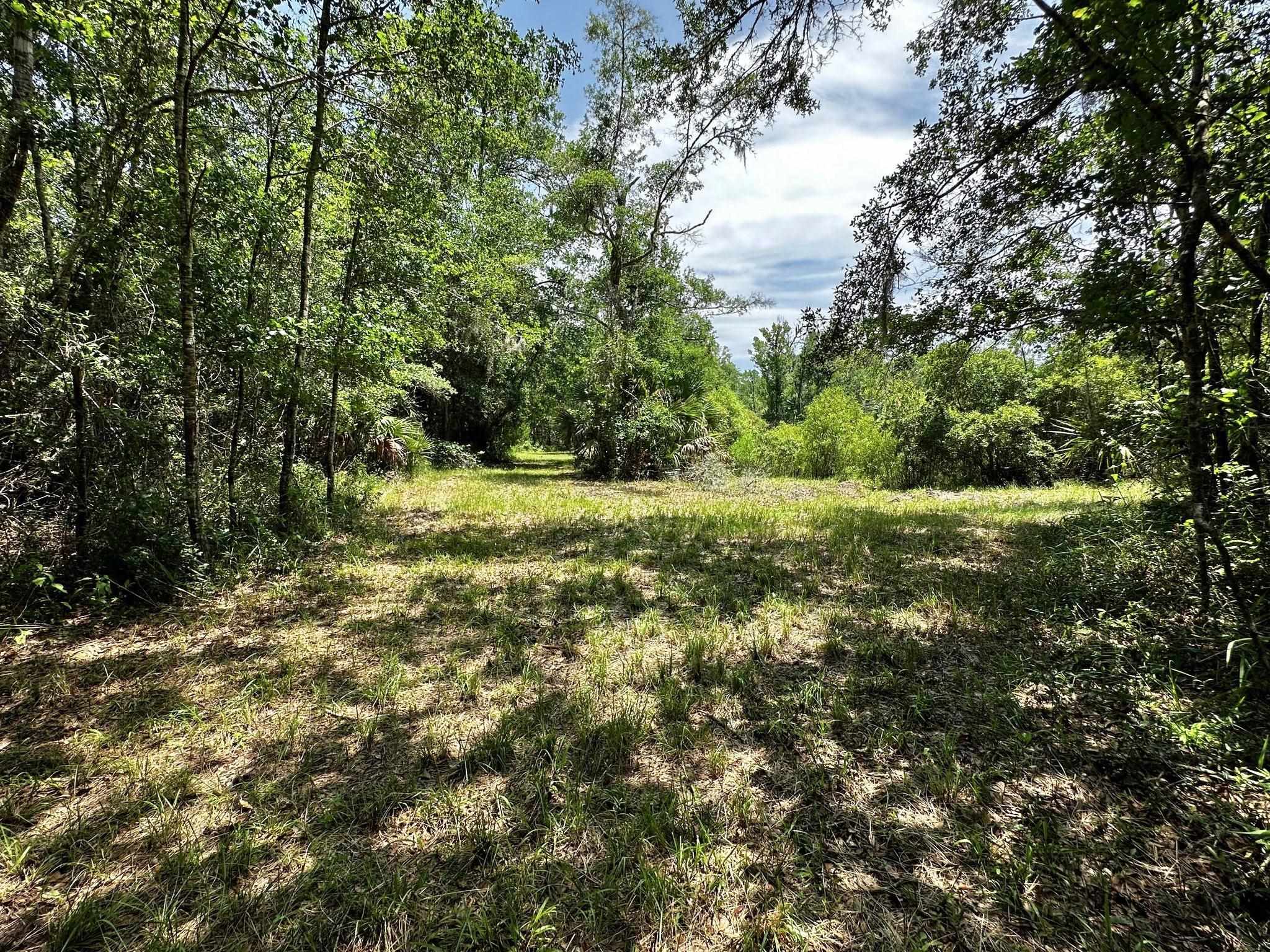 504 Roys,STEINHATCHEE,Florida 32359,Lots and land,Roys,360429