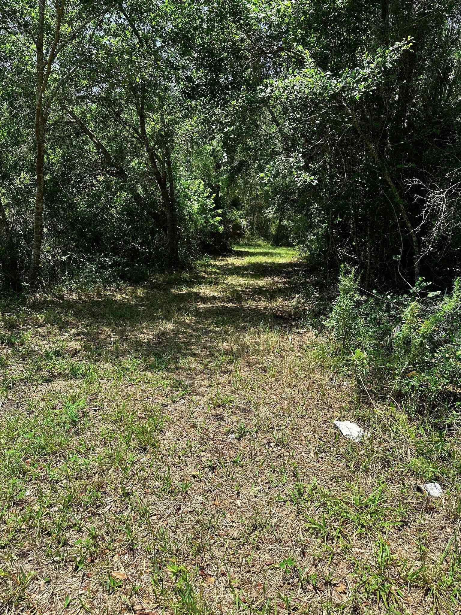 504 Roys,STEINHATCHEE,Florida 32359,Lots and land,Roys,360429