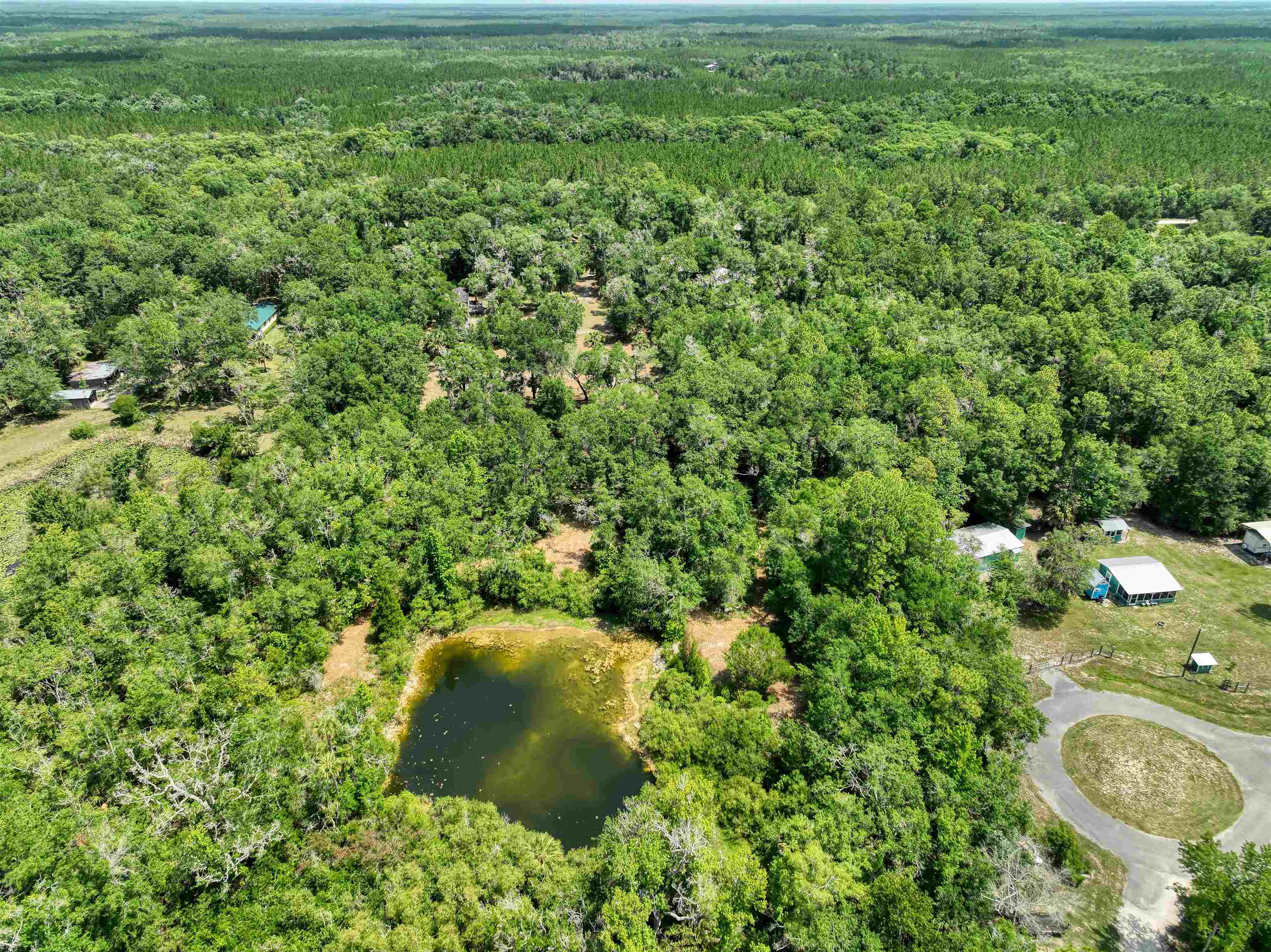 504 Roys,STEINHATCHEE,Florida 32359,Lots and land,Roys,360429