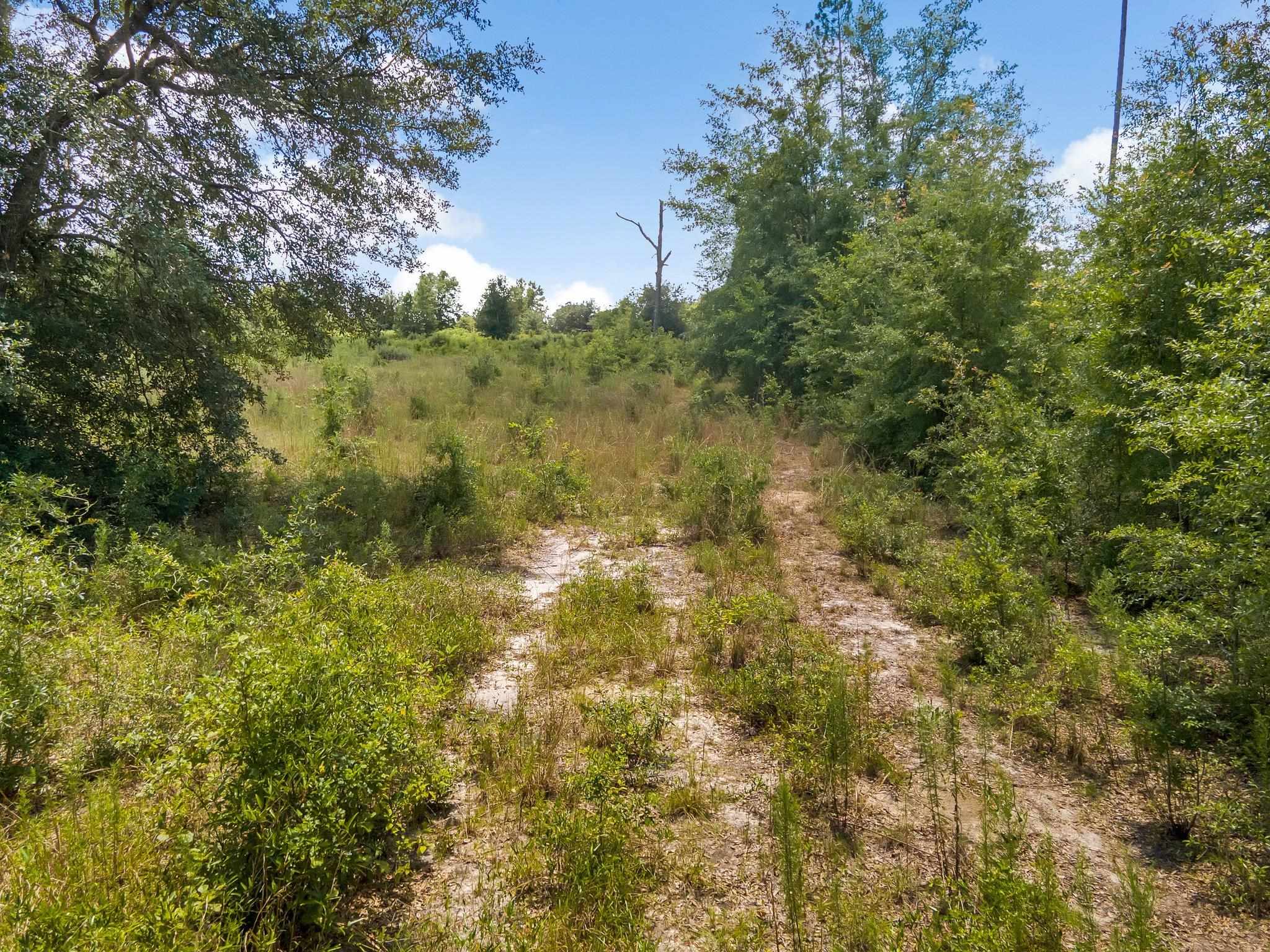 Vacant Cedar,Pinetta (Madison County),Florida 32350,Lots and land,Cedar,366151