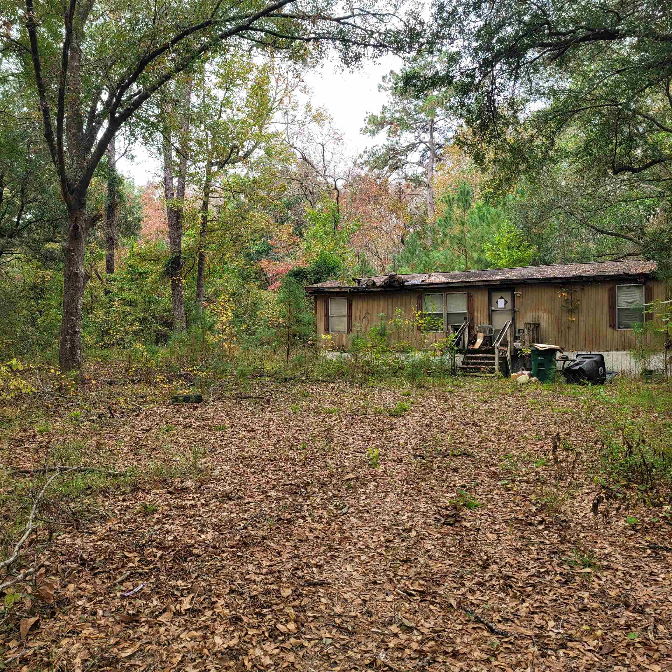 6984 RED GUM Court,TALLAHASSEE,Florida 32303,3 Bedrooms Bedrooms,2 BathroomsBathrooms,Manuf/mobile home,6984 RED GUM Court,367079