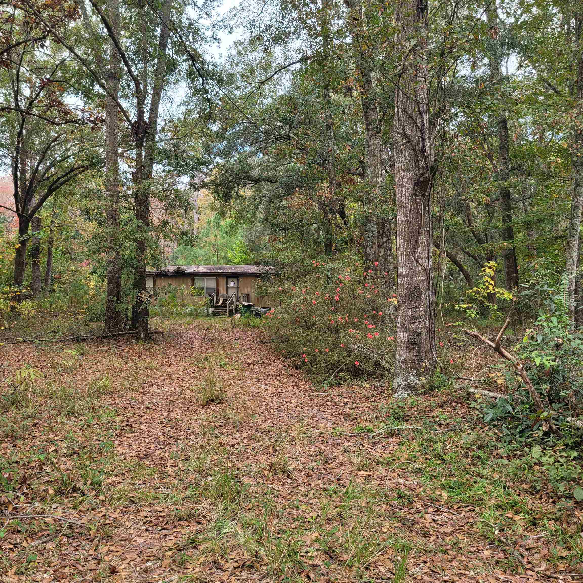 6984 RED GUM Court,TALLAHASSEE,Florida 32303,3 Bedrooms Bedrooms,2 BathroomsBathrooms,Manuf/mobile home,6984 RED GUM Court,367079