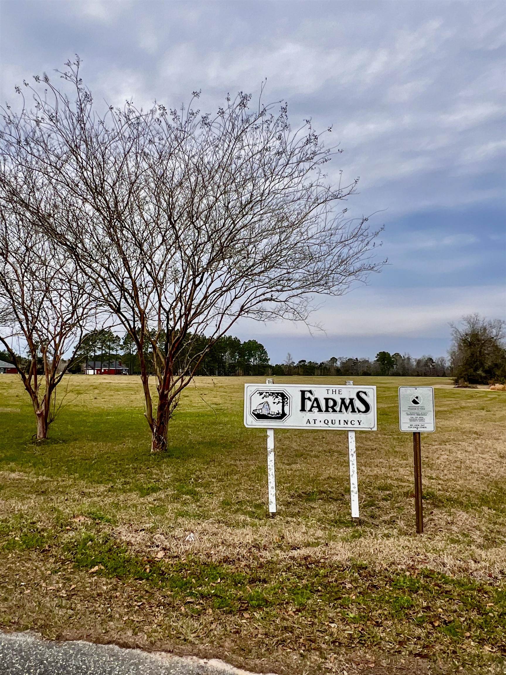 X0X Lot 1 Solomon Dairy,QUINCY,Florida 32351,Lots and land,Solomon Dairy,368789