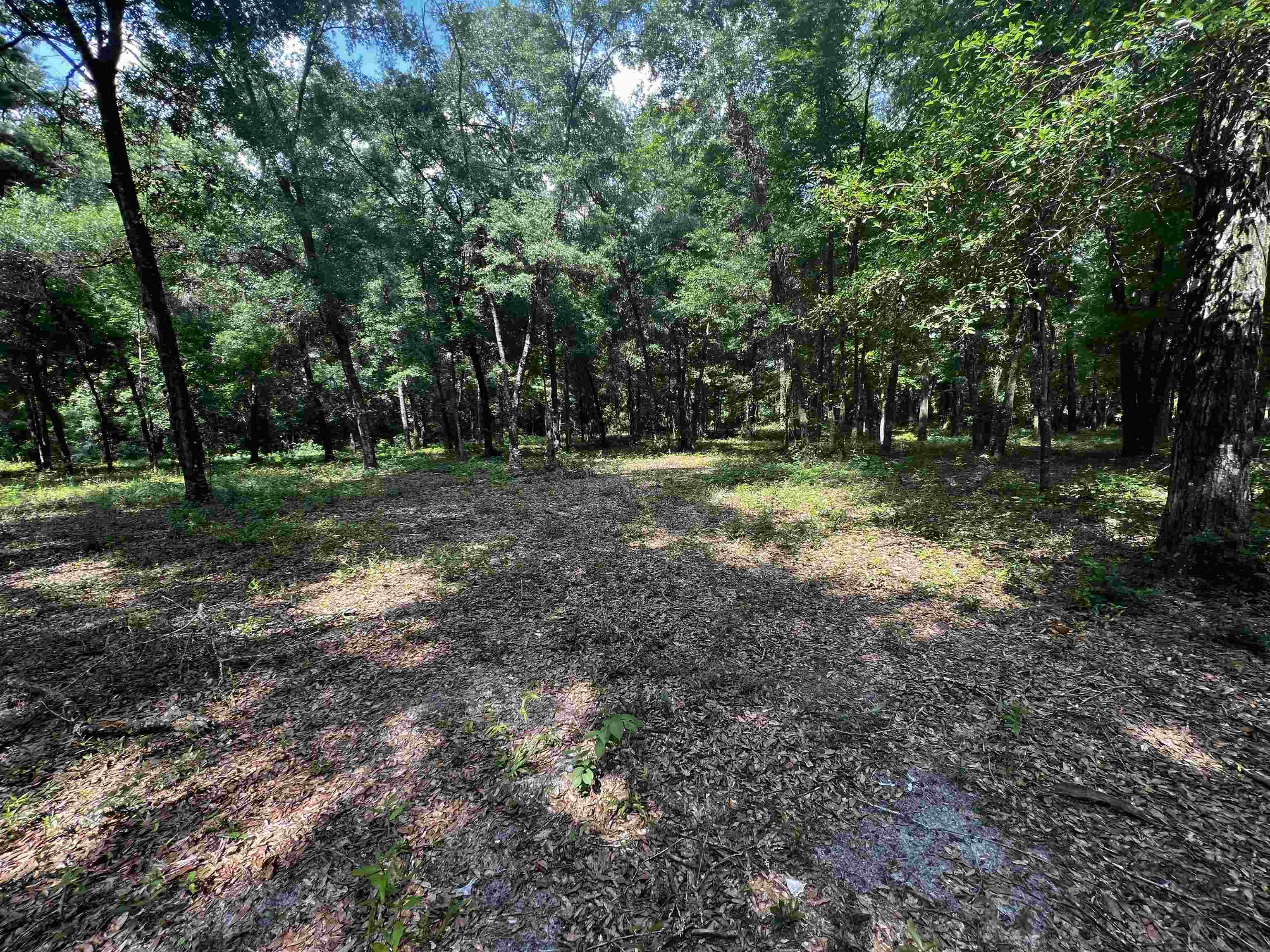 XX Old Revell Rd,CRAWFORDVILLE,Florida 32327,Lots and land,Old Revell Rd,360606