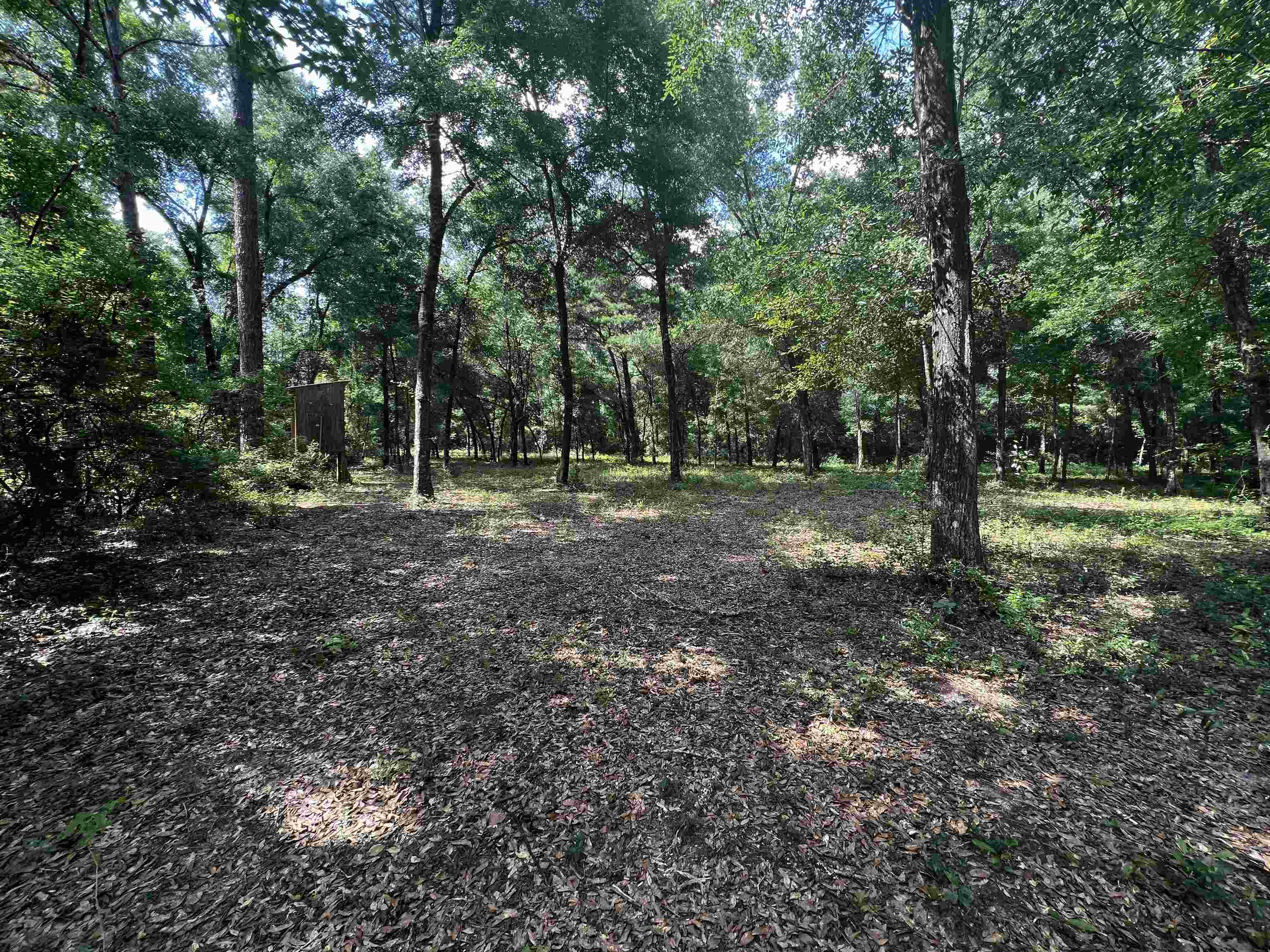 XX Old Revell Rd,CRAWFORDVILLE,Florida 32327,Lots and land,Old Revell Rd,360606