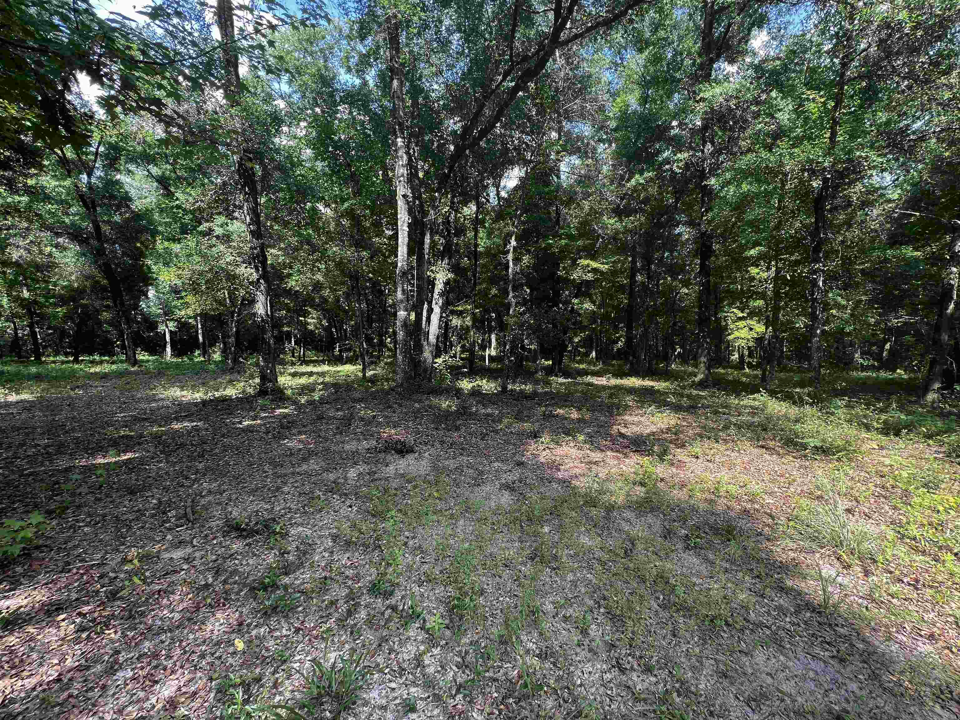 XX Old Revell Rd,CRAWFORDVILLE,Florida 32327,Lots and land,Old Revell Rd,360606