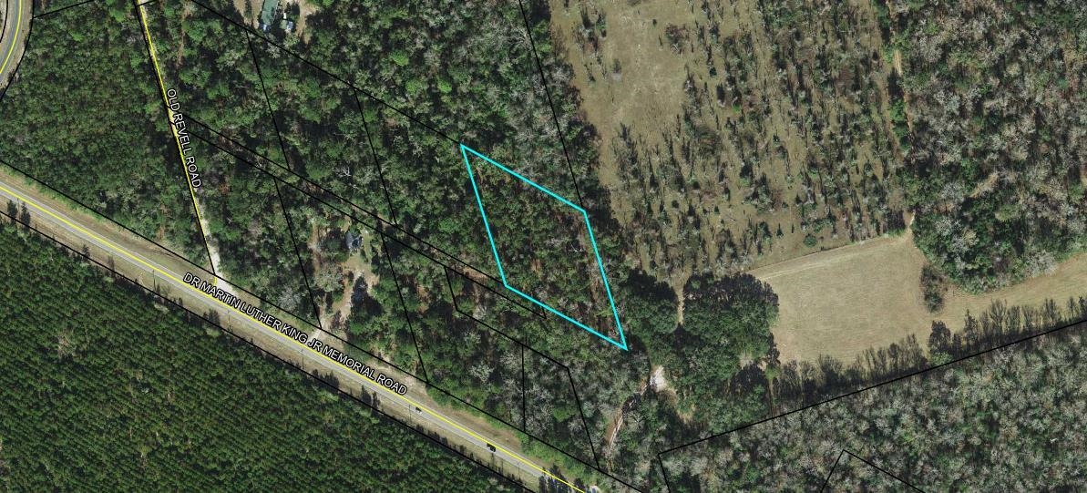 XX Old Revell Rd,CRAWFORDVILLE,Florida 32327,Lots and land,Old Revell Rd,360606