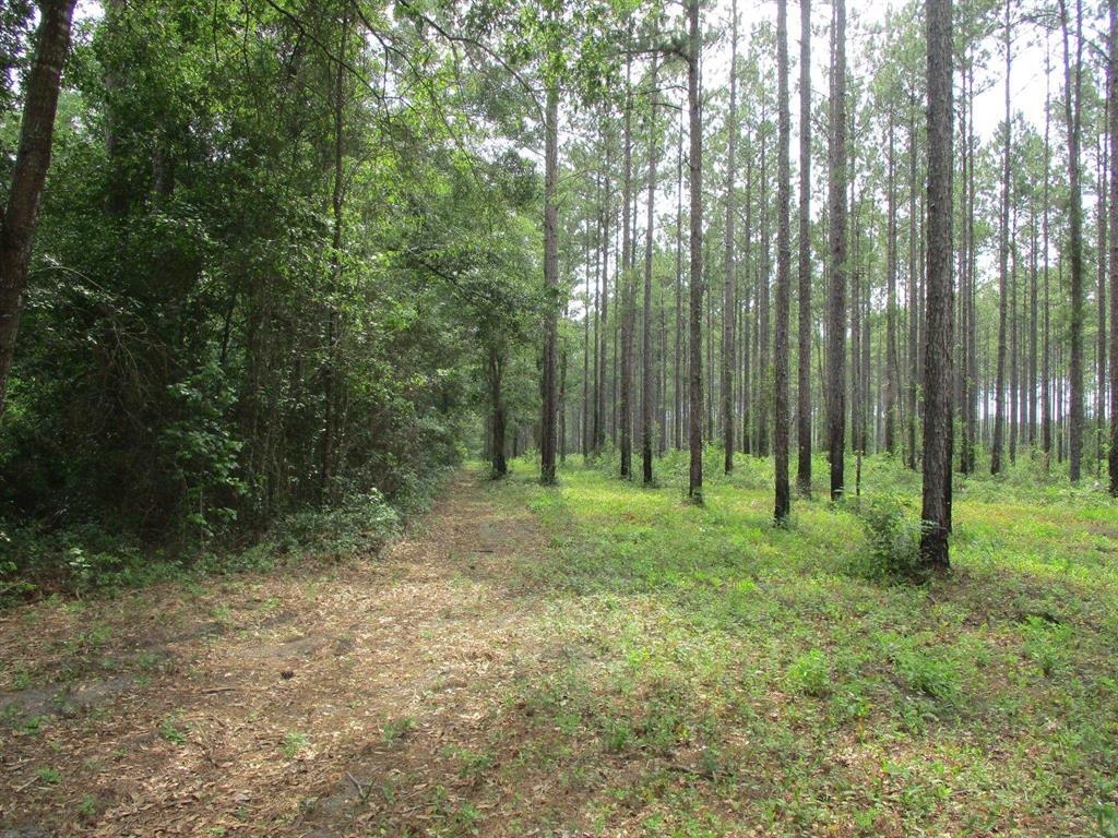 000 Cox,MONTICELLO,Florida 32344-4611,Lots and land,Cox,366196