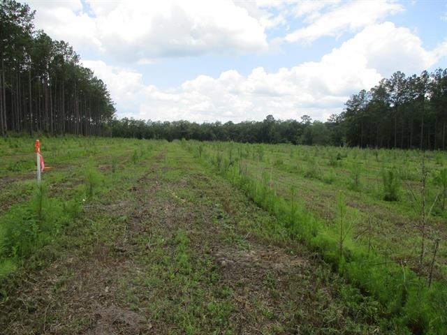 000 Cox,MONTICELLO,Florida 32344-4611,Lots and land,Cox,366196