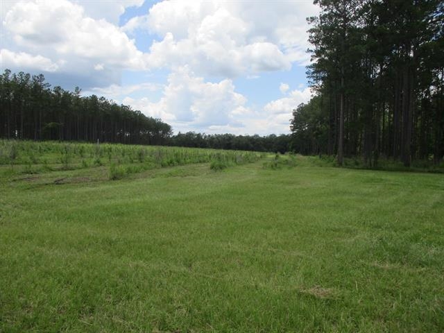 000 Cox,MONTICELLO,Florida 32344-4611,Lots and land,Cox,366196