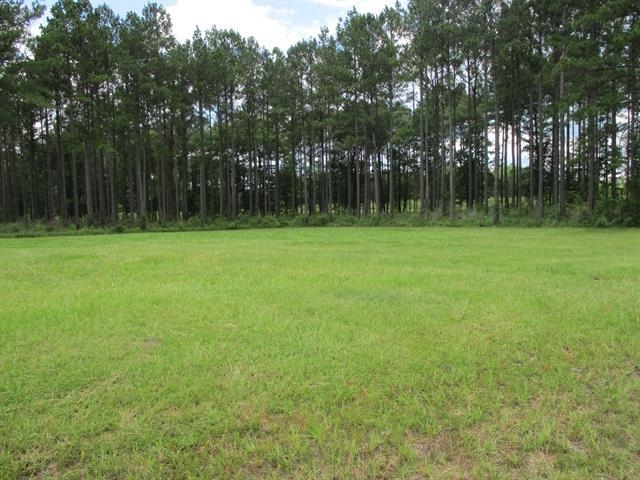 000 Cox,MONTICELLO,Florida 32344-4611,Lots and land,Cox,366196