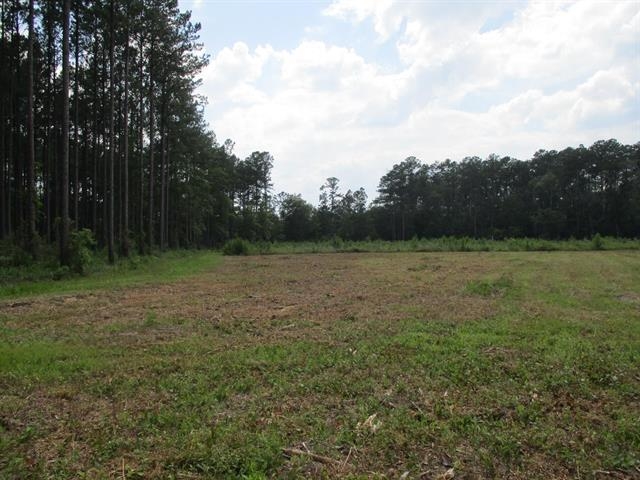 000 Cox,MONTICELLO,Florida 32344-4611,Lots and land,Cox,366196