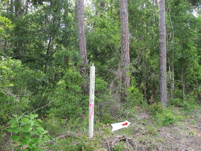 000 Cox,MONTICELLO,Florida 32344-4611,Lots and land,Cox,366196