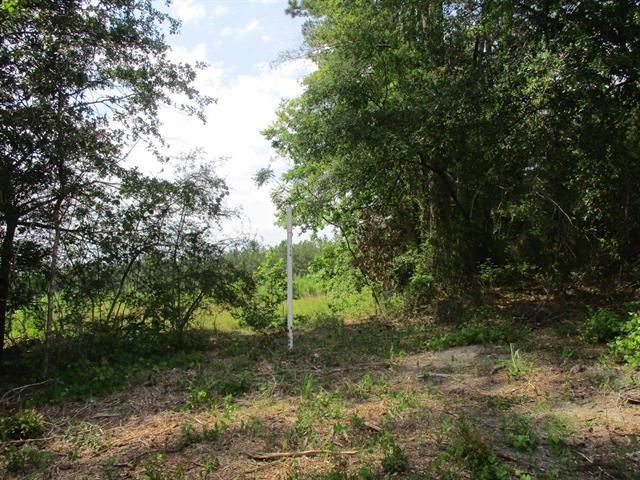 000 Cox,MONTICELLO,Florida 32344-4611,Lots and land,Cox,366196