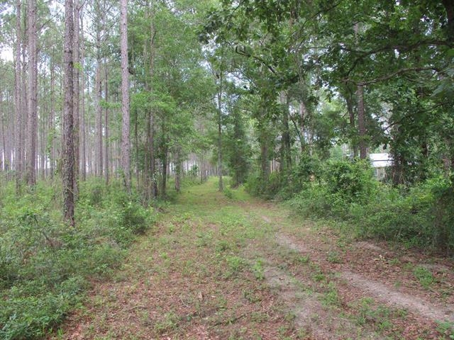 000 Cox,MONTICELLO,Florida 32344-4611,Lots and land,Cox,366196