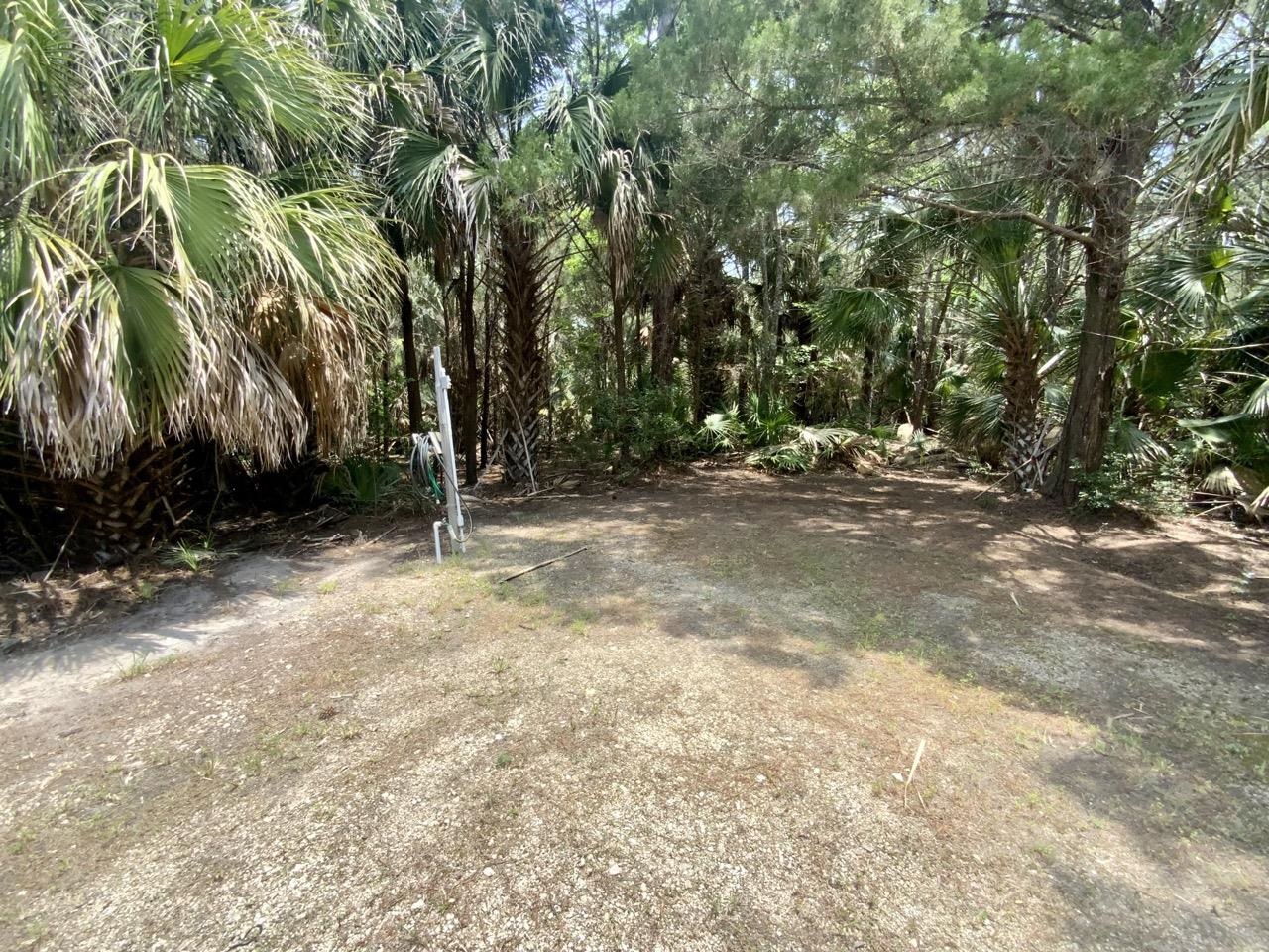 20000 Mossy Hammock Grade,LAMONT,Florida 32336,2 Bedrooms Bedrooms,2 BathroomsBathrooms,Detached single family,20000 Mossy Hammock Grade,358821